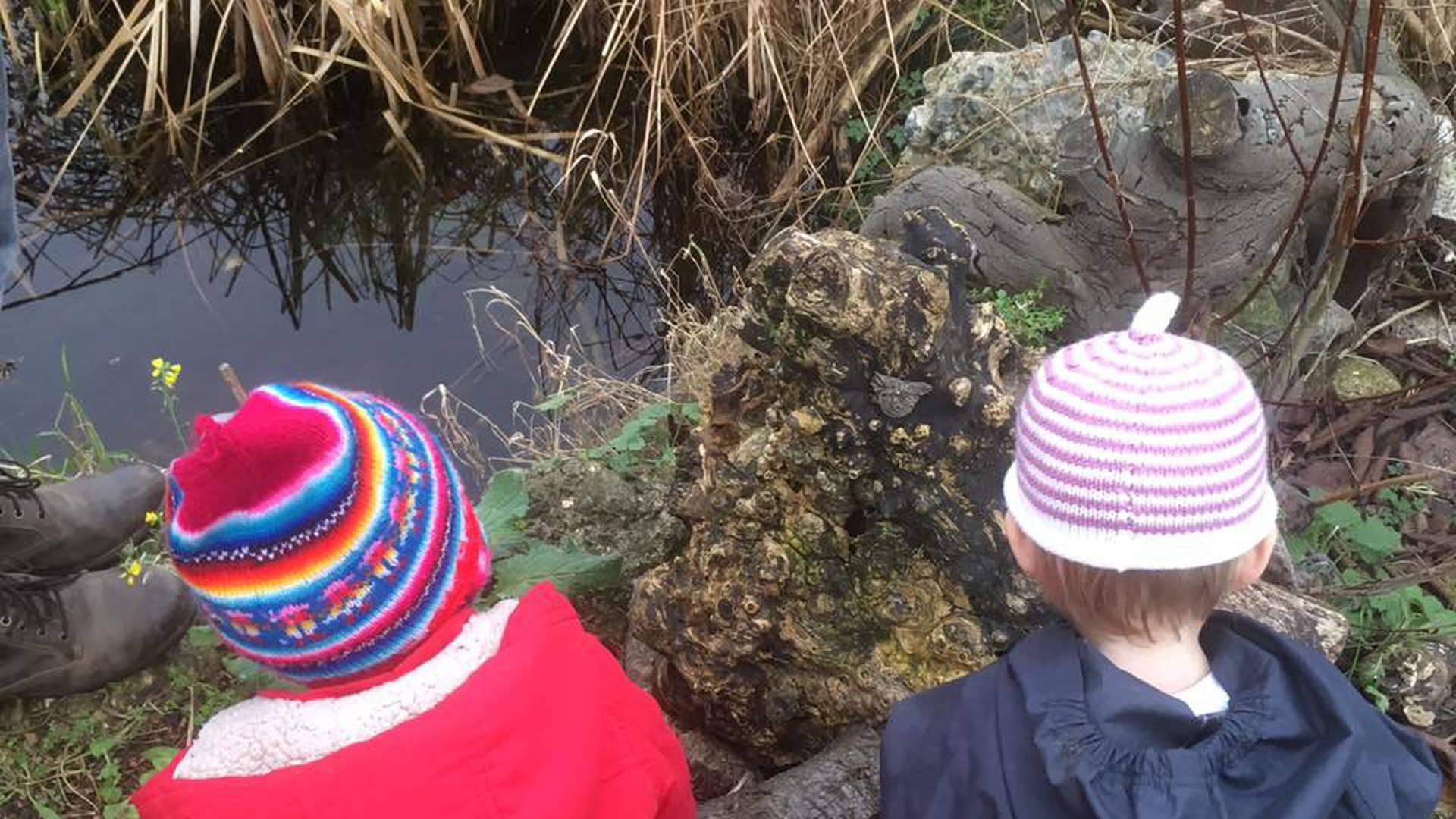 Little Gardeners at Glengall Wharf photo