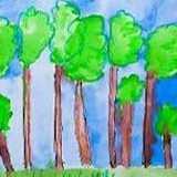 Activity image