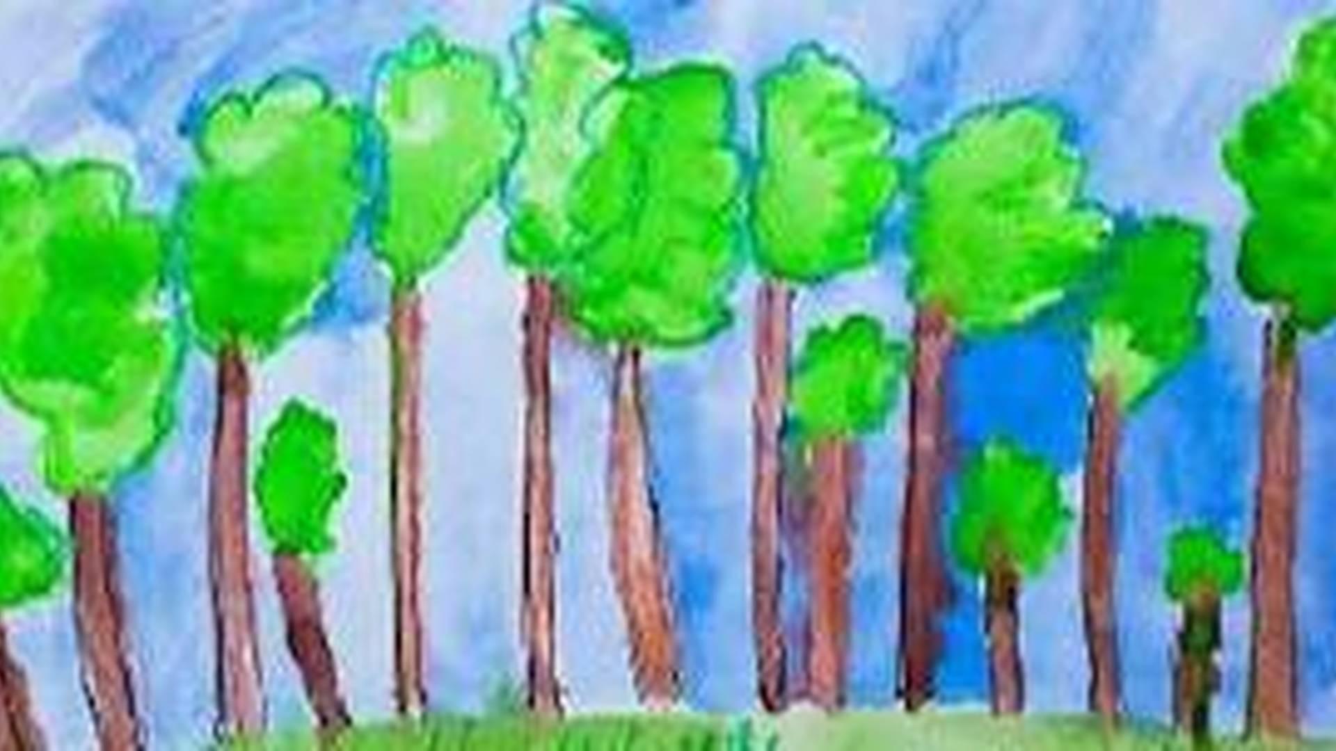 Forest Fun - Early Years photo