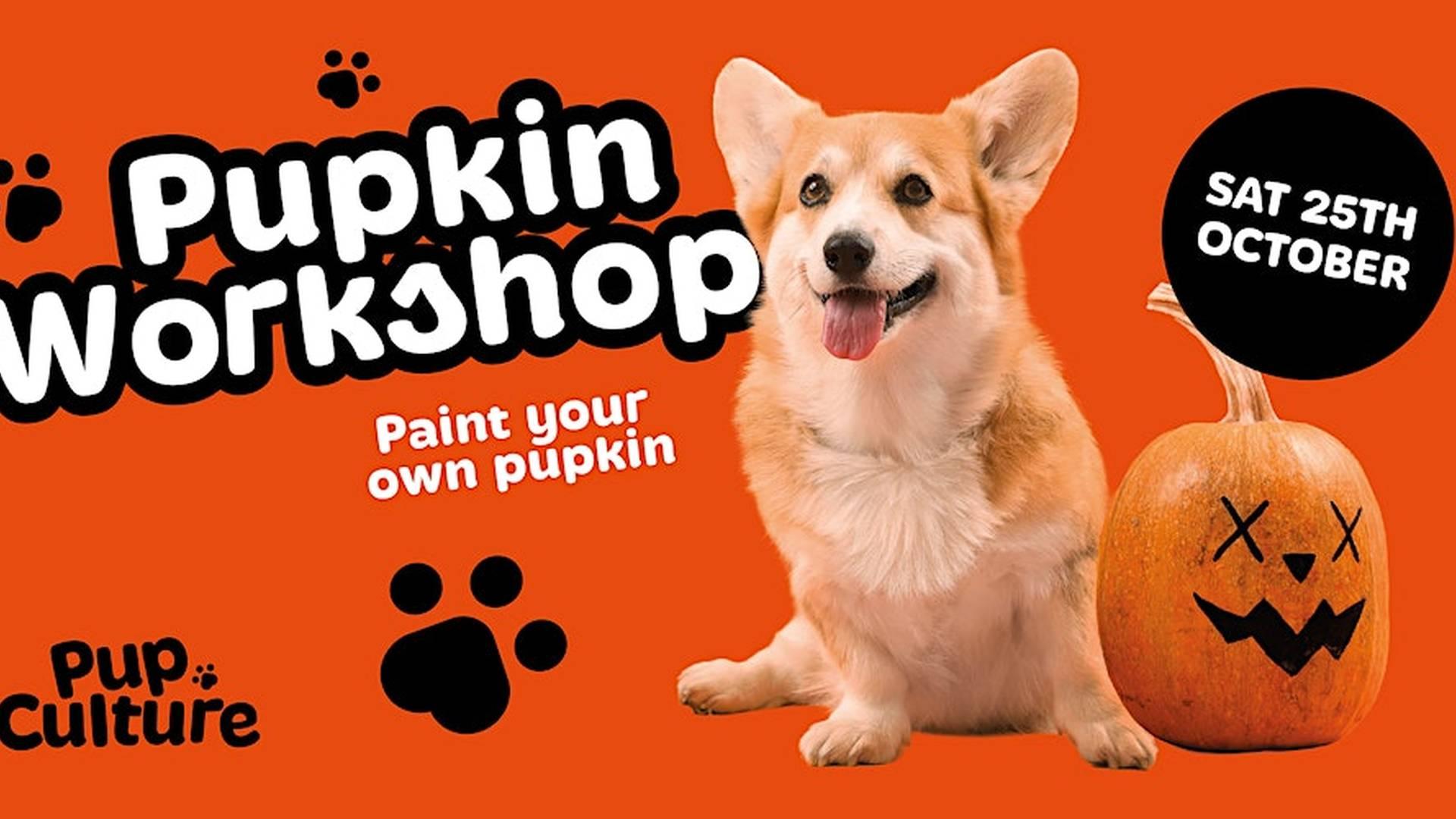 Pupkin Workshop photo