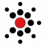 Berkshire Maestros logo