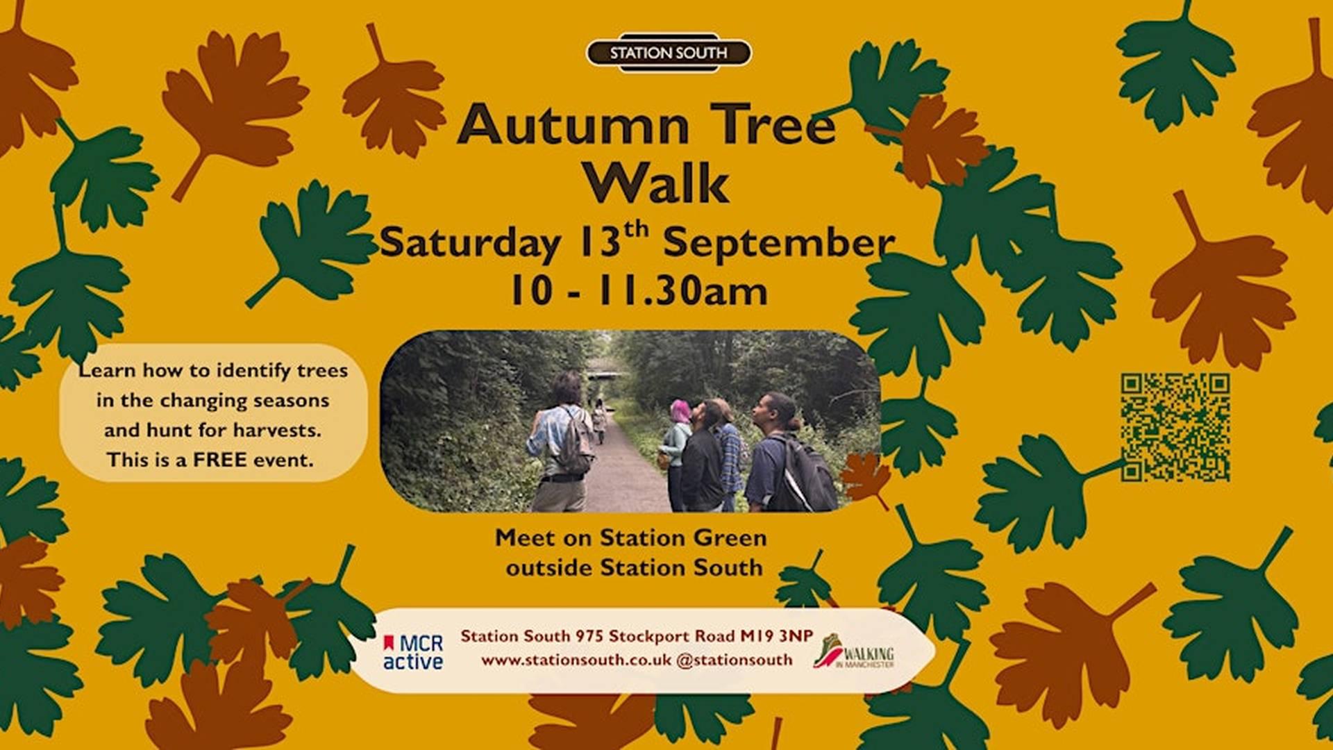 Autumn Tree Walk photo
