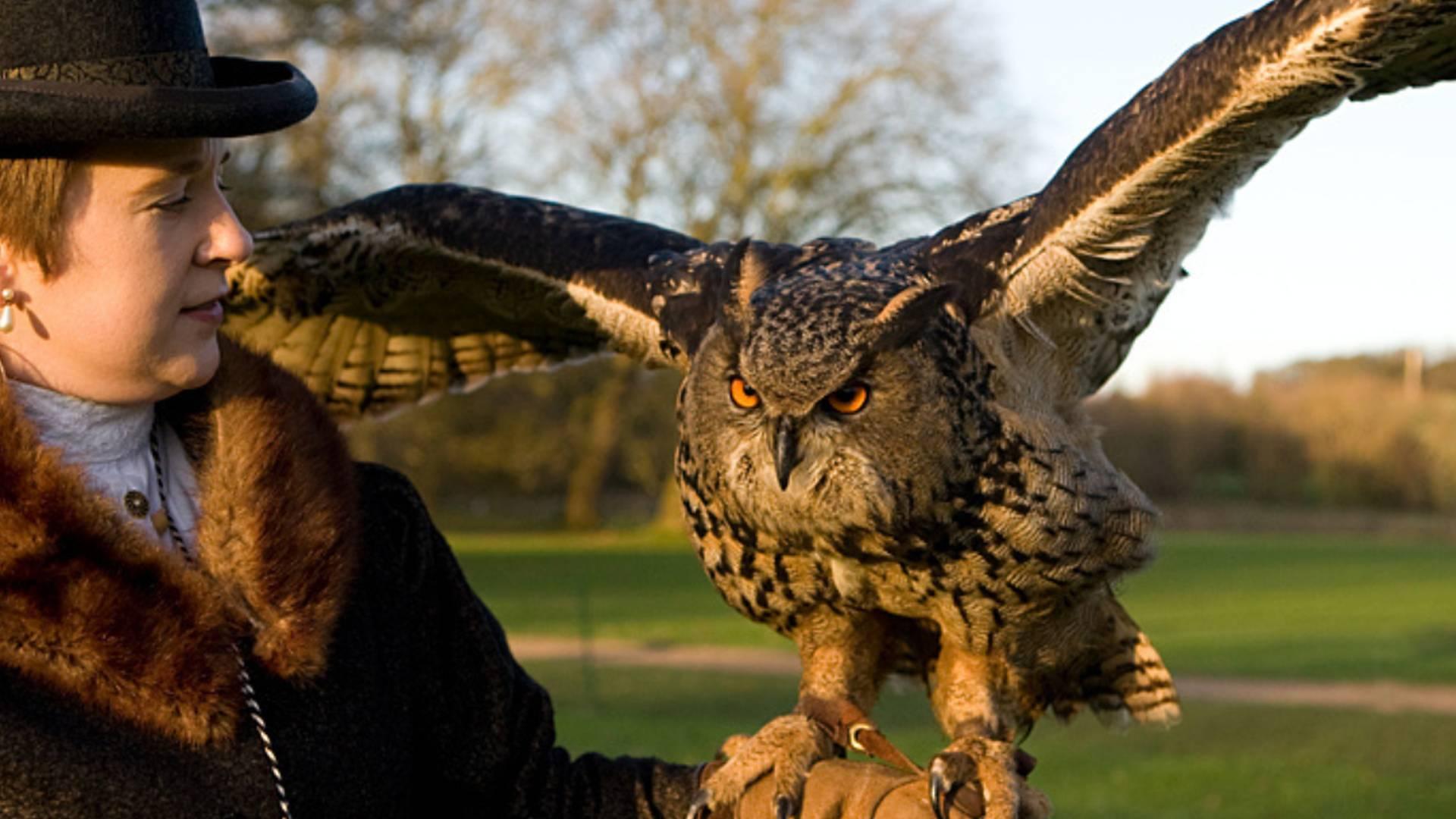 Gothic Falconry At Framlingham Castle photo