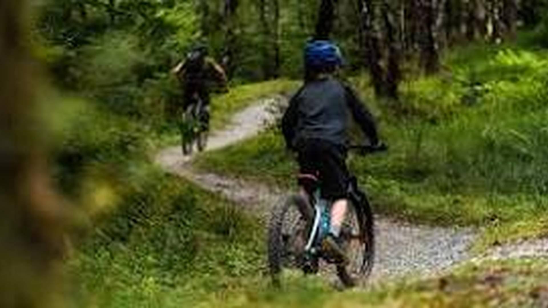 Free - Alba Mountainbike - Kids Session photo