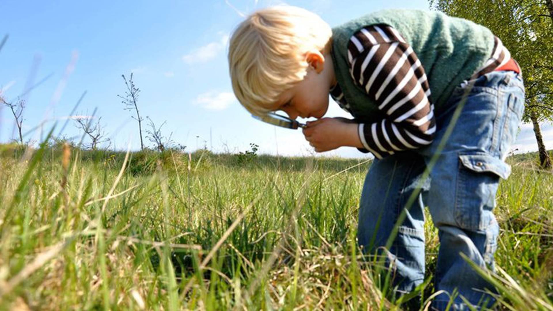 Norfolk Wildlife Trust photo