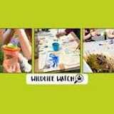 Activity image