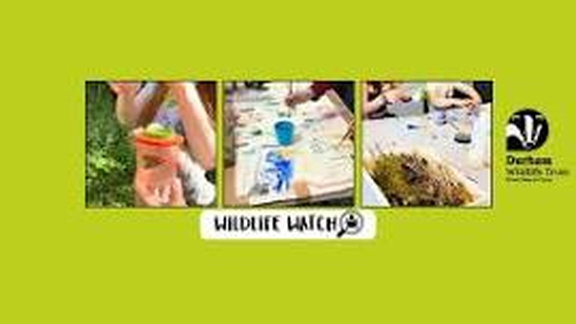 Wildlife Watch - Low Barns Nature Reserve photo