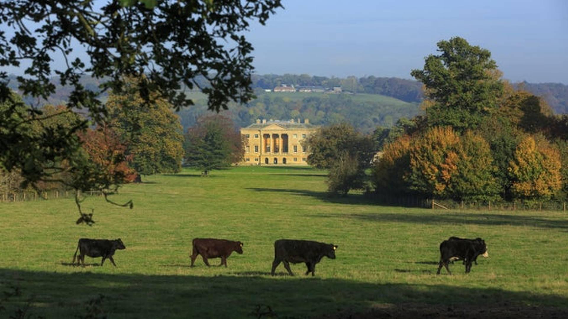 Summer Of Play At Basildon Park, 20 July To 3 September photo