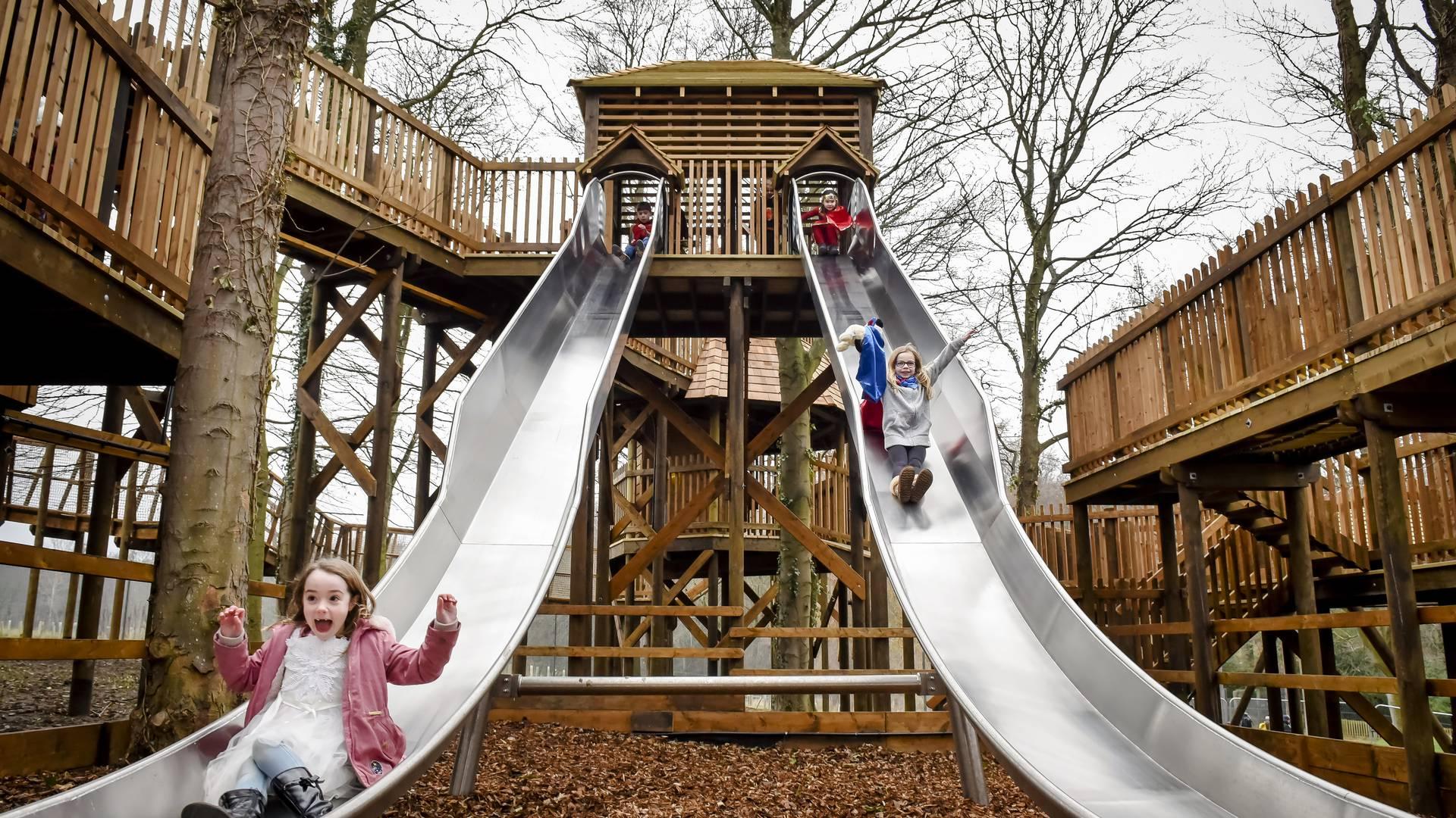 Dalkeith Country Park photo
