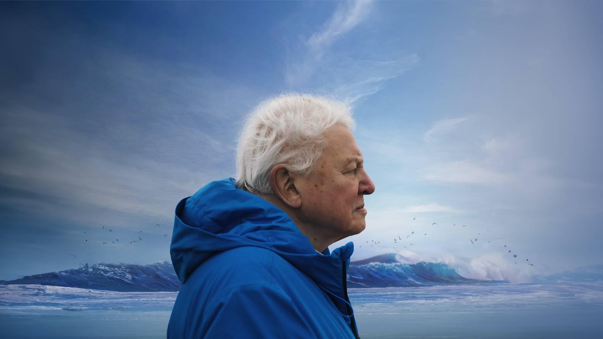 Ocean with David Attenborough + Q&A with cinematographer Toby Strong photo