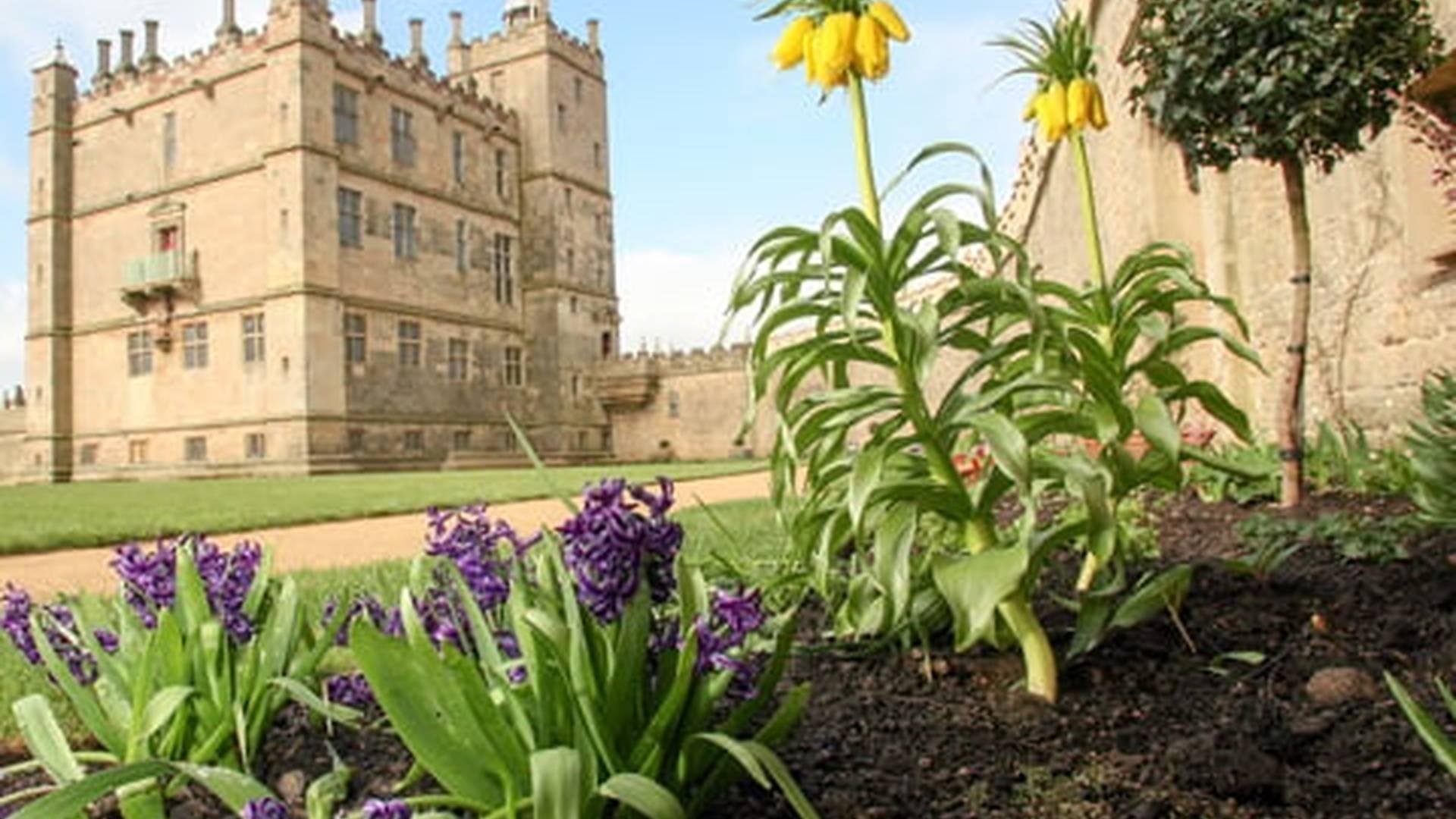 Evening Garden Tour At Bolsover Castle photo