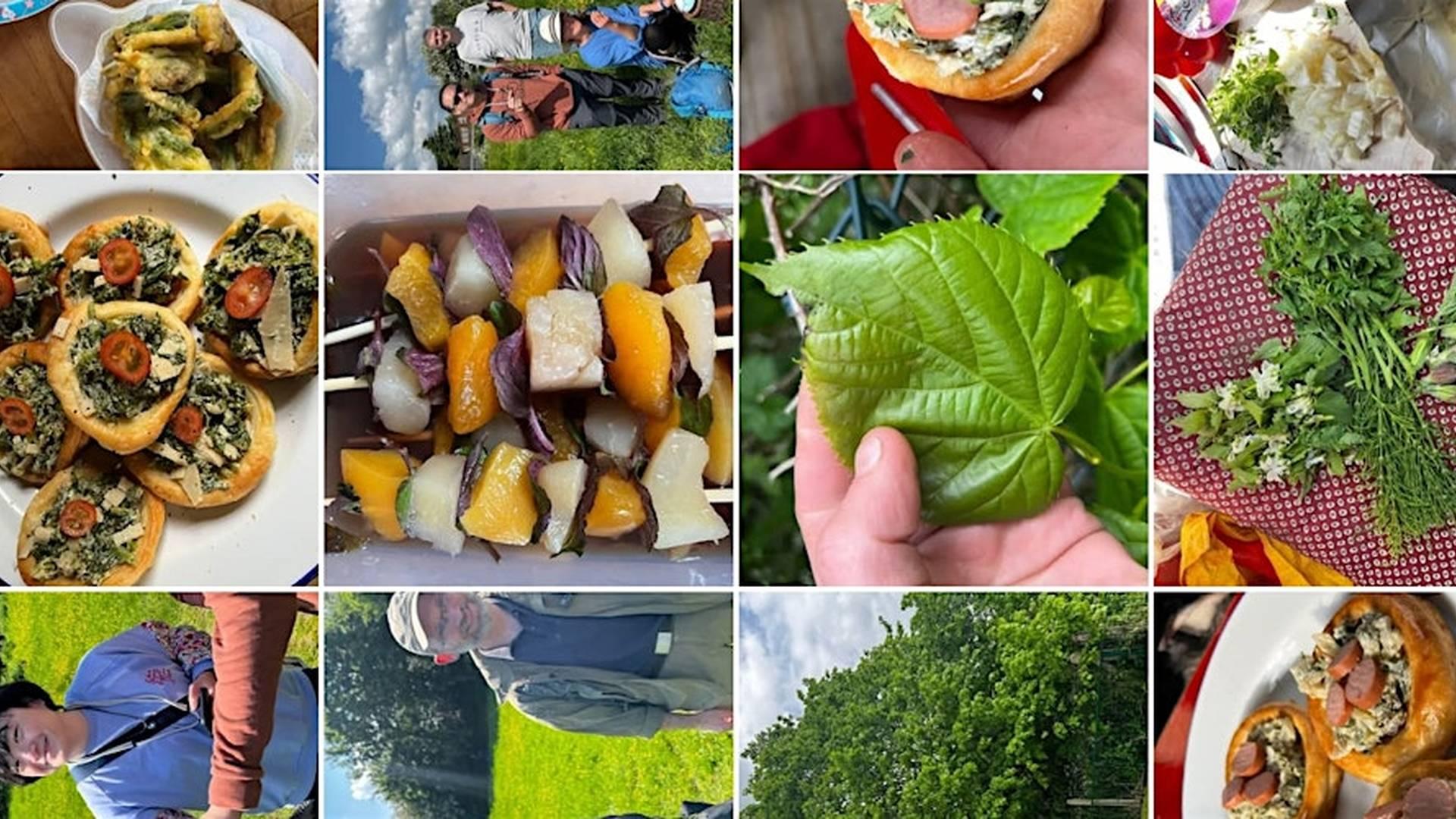 Spring Foraging With Tapas @ Ouzel Water Meadows photo