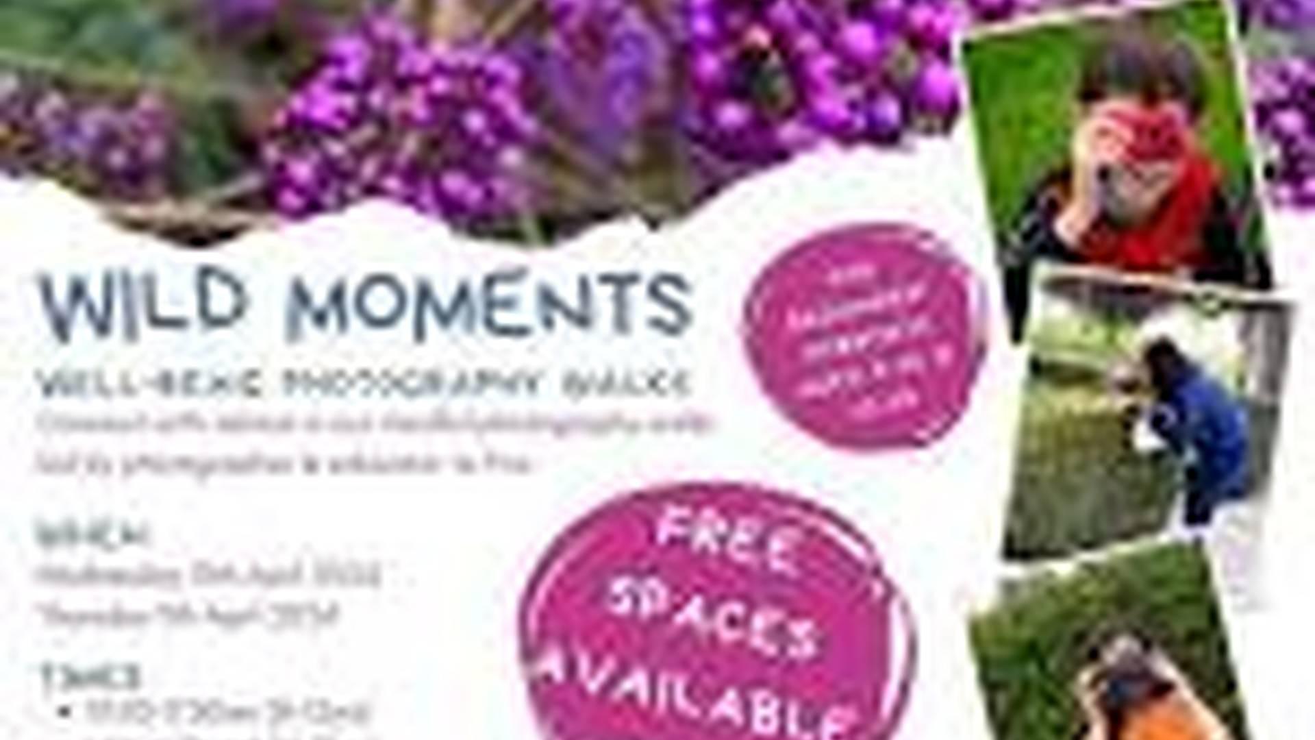 Wild Moments - Nature Photography for 8 - 12s (FREE) photo