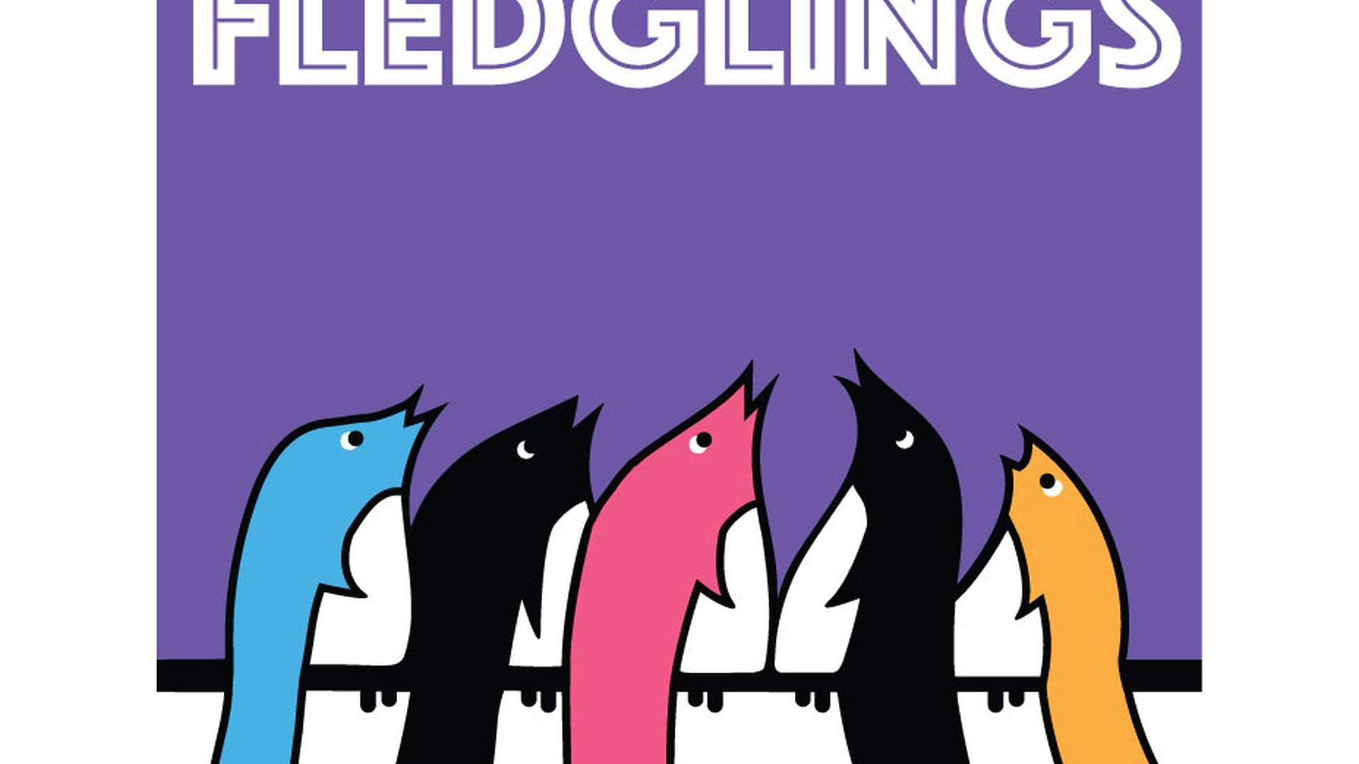 Fledglings Foundation Course photo