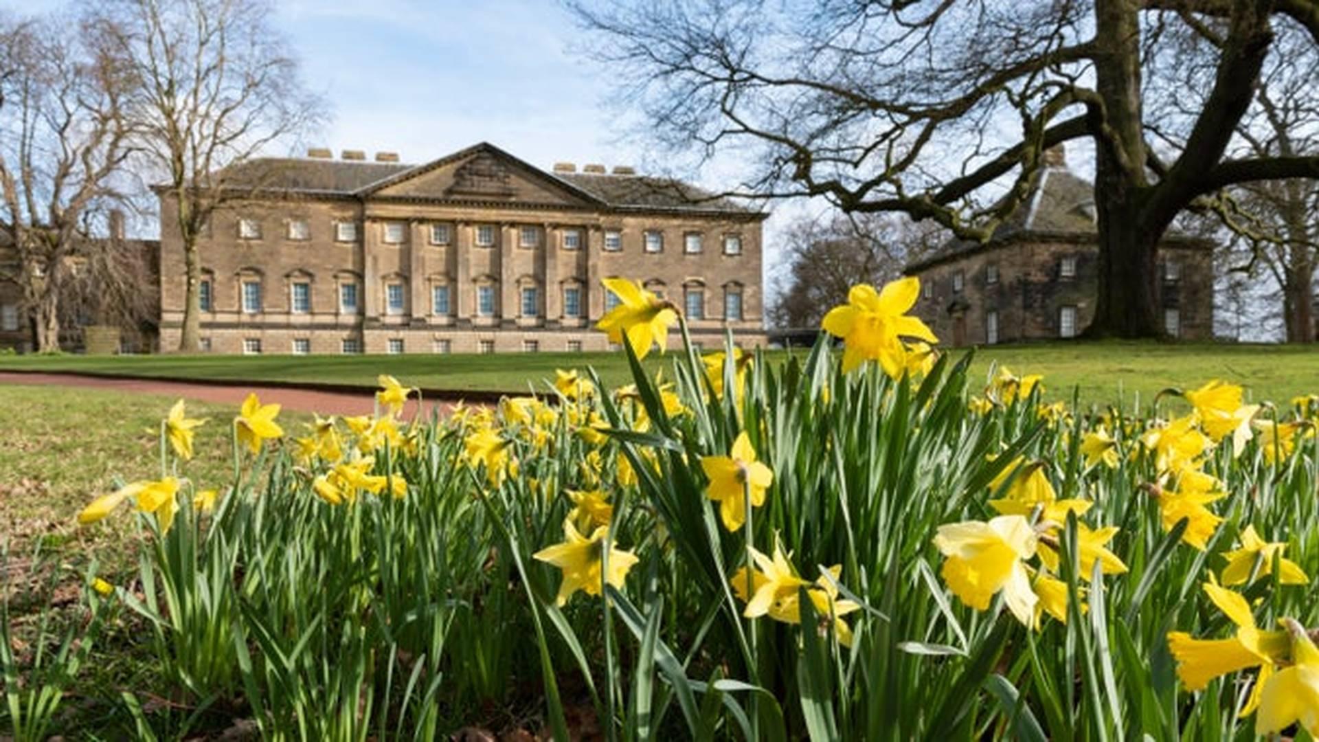 Herbal Histories of Wakefield exhibition photo