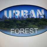 Urban Forest logo