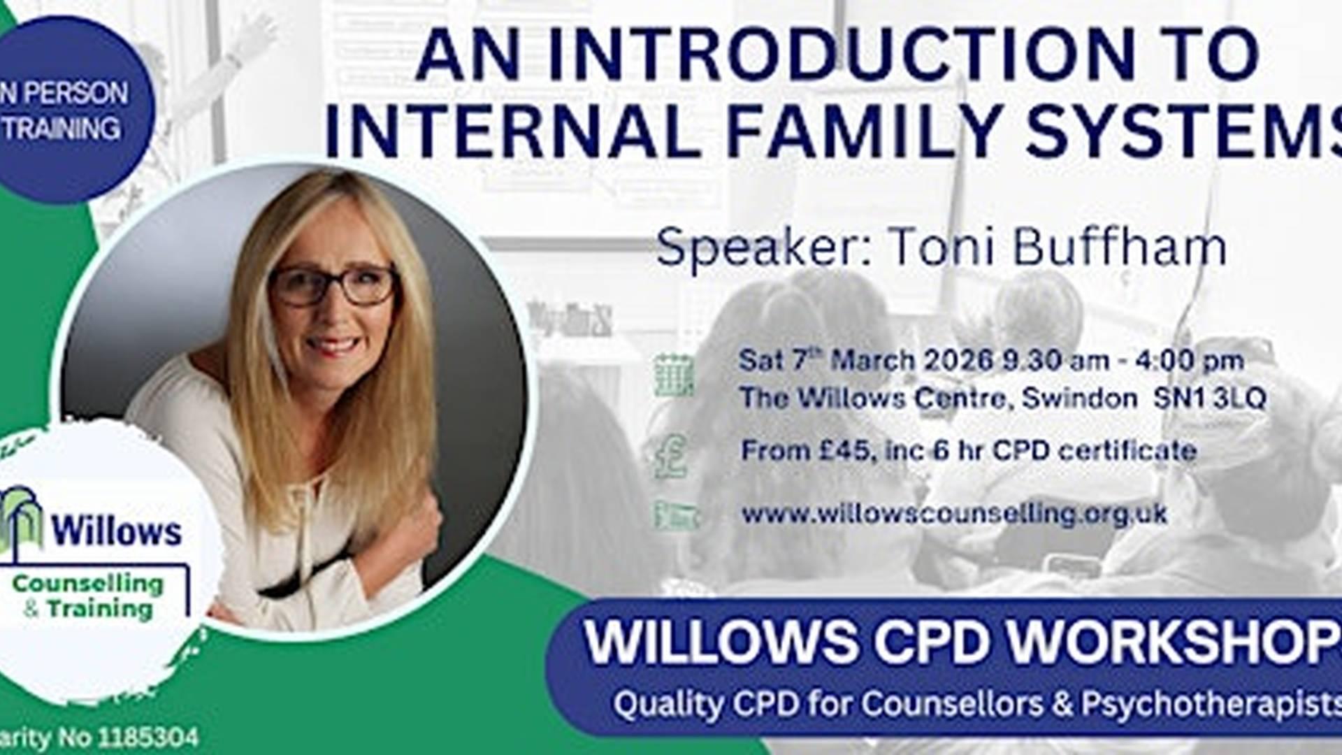 An Introduction to Internal Family Systems photo