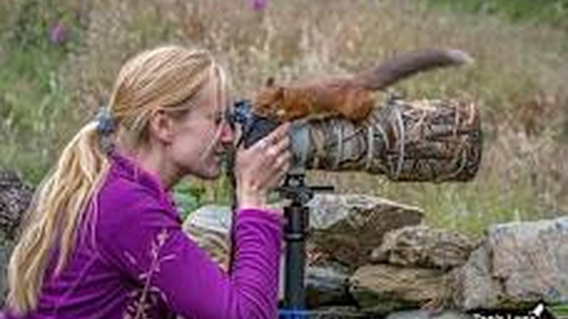 Family Social: Back Garden Wildlife photo