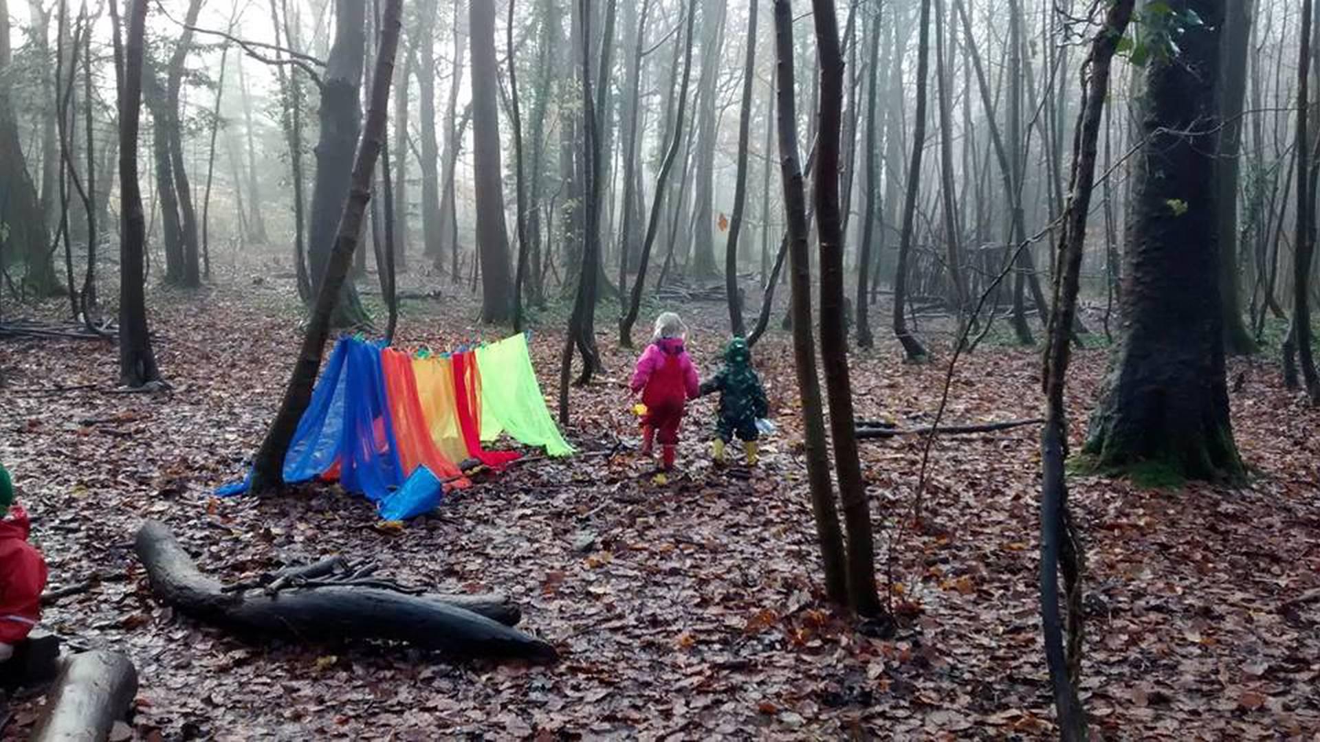 Badgers Forest School Bristol photo