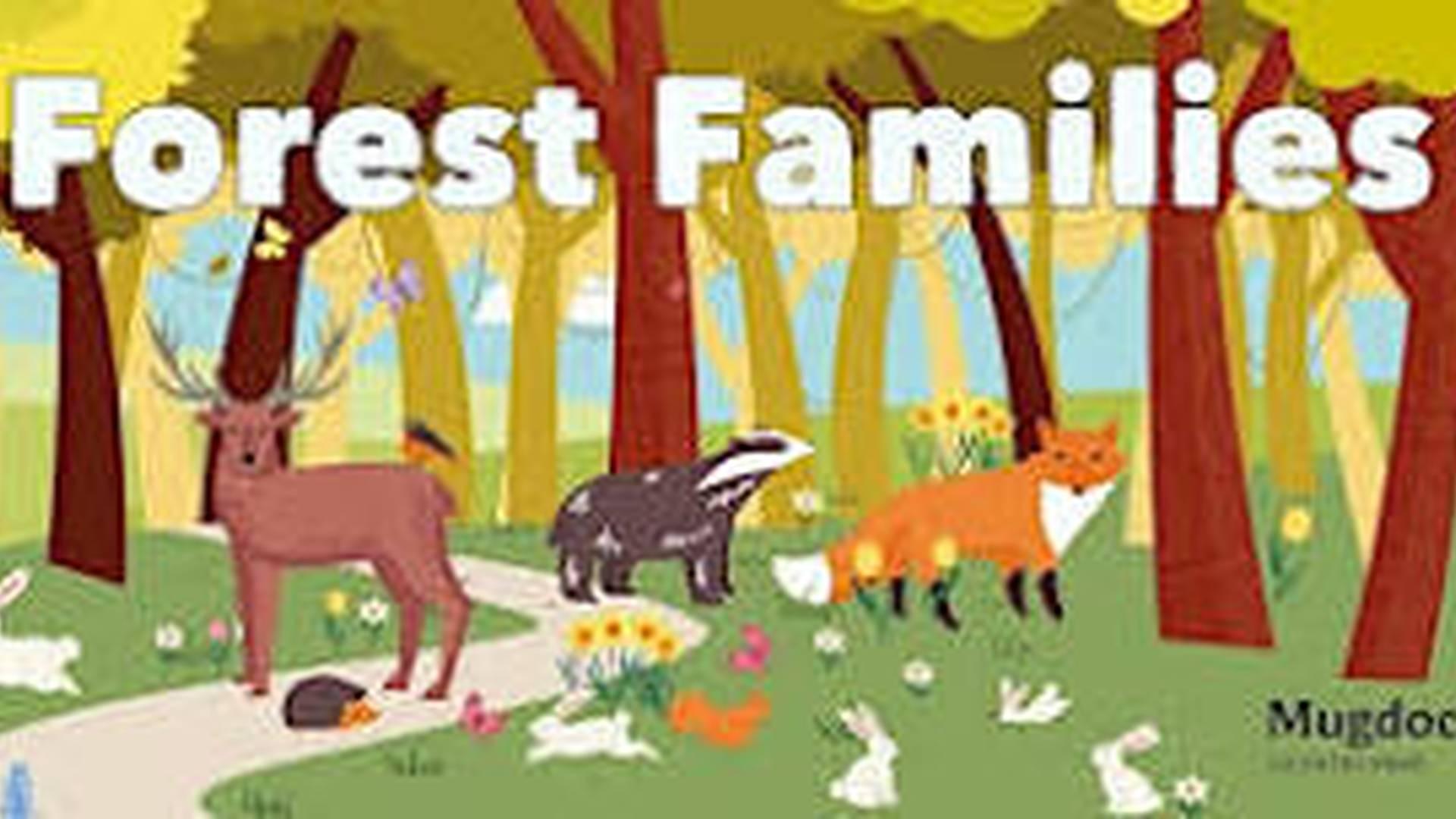 Forest Families - Charcoal Making photo