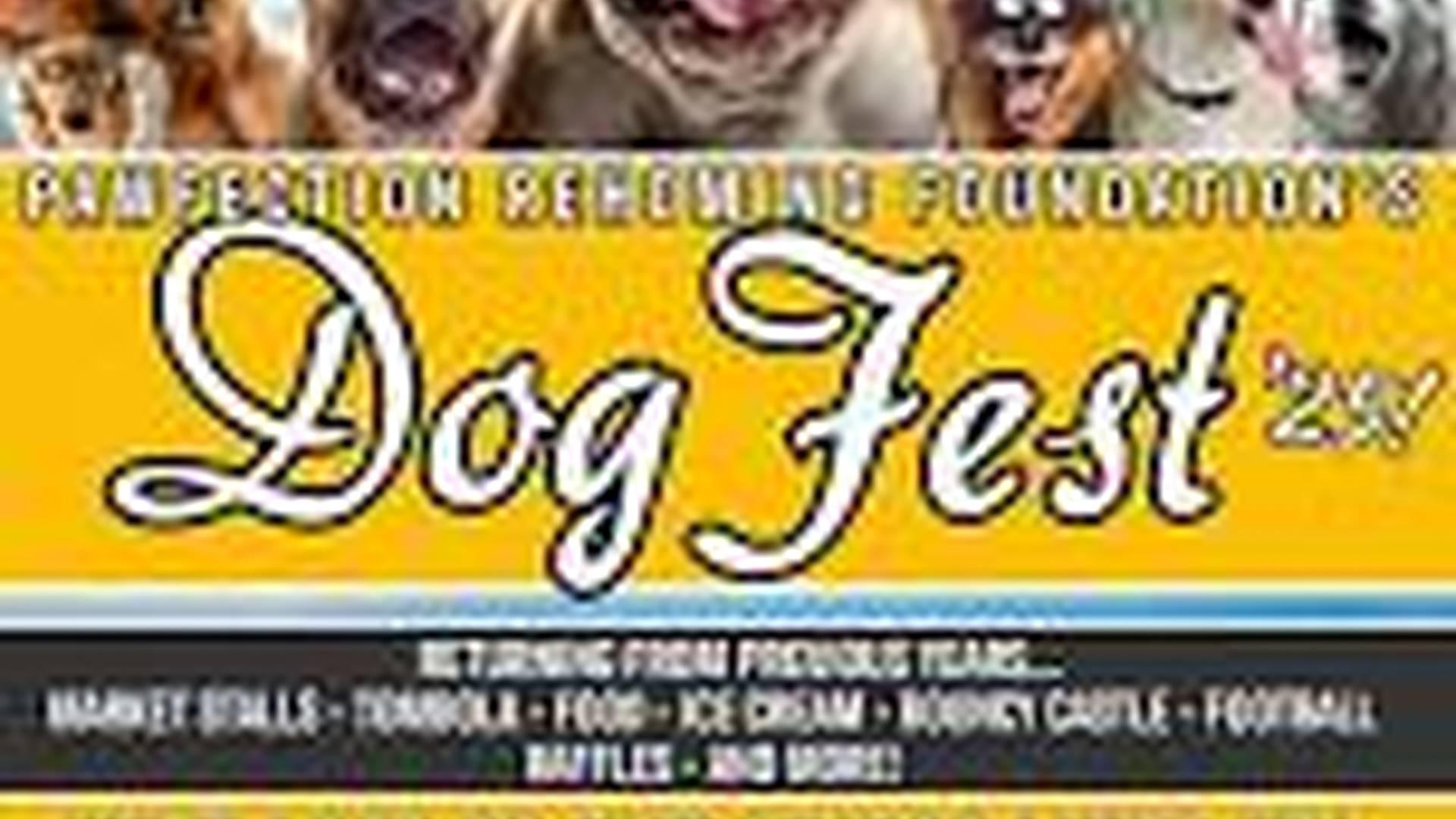 Pawfection Rehoming Foundation's DOG FEST 2025 photo