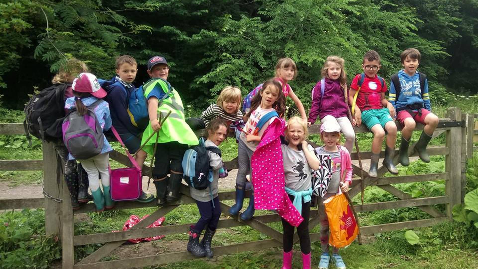 Bright Woods Forest School CIC photo