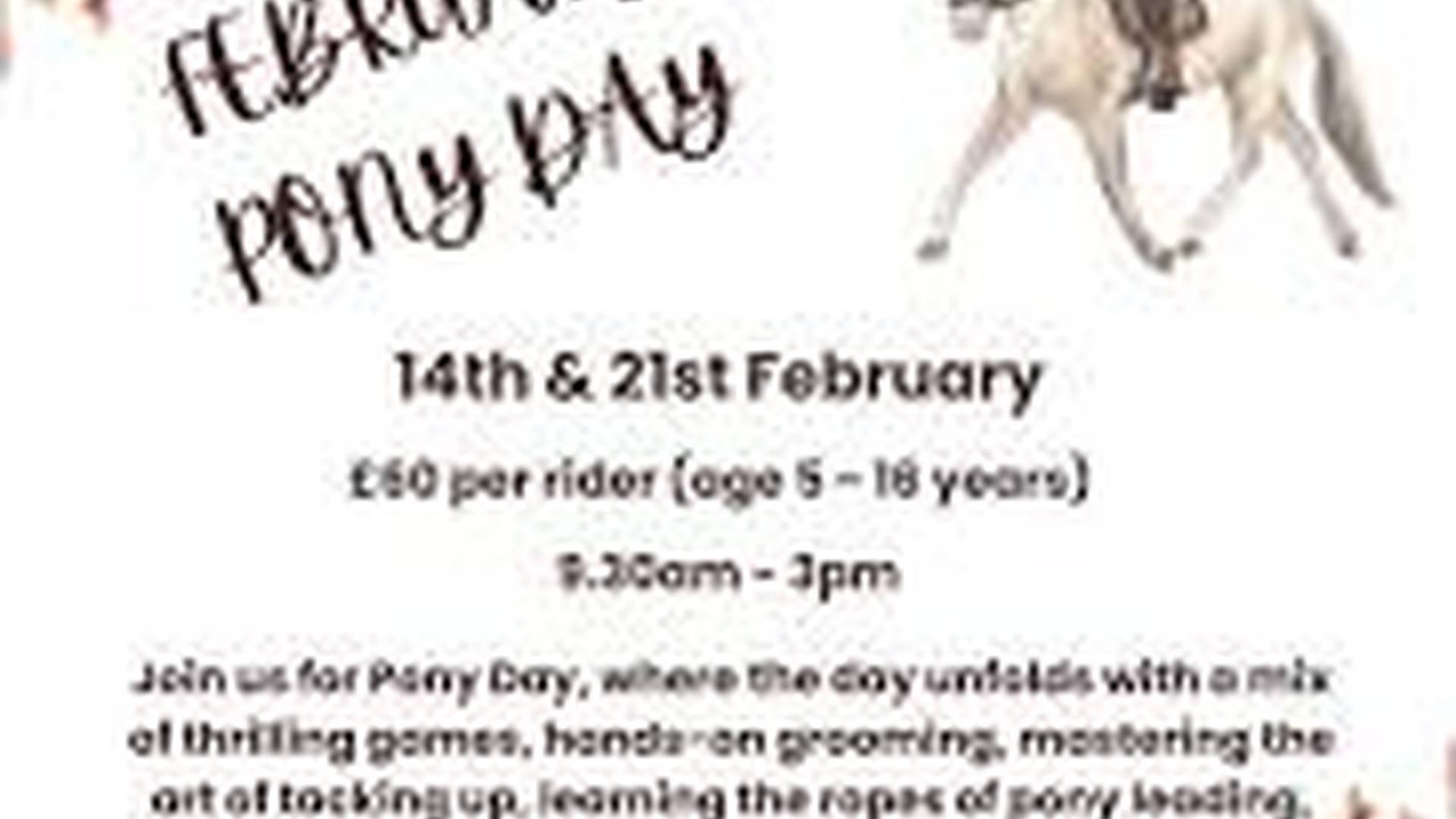 February Pony Days (For ages 5-16) photo