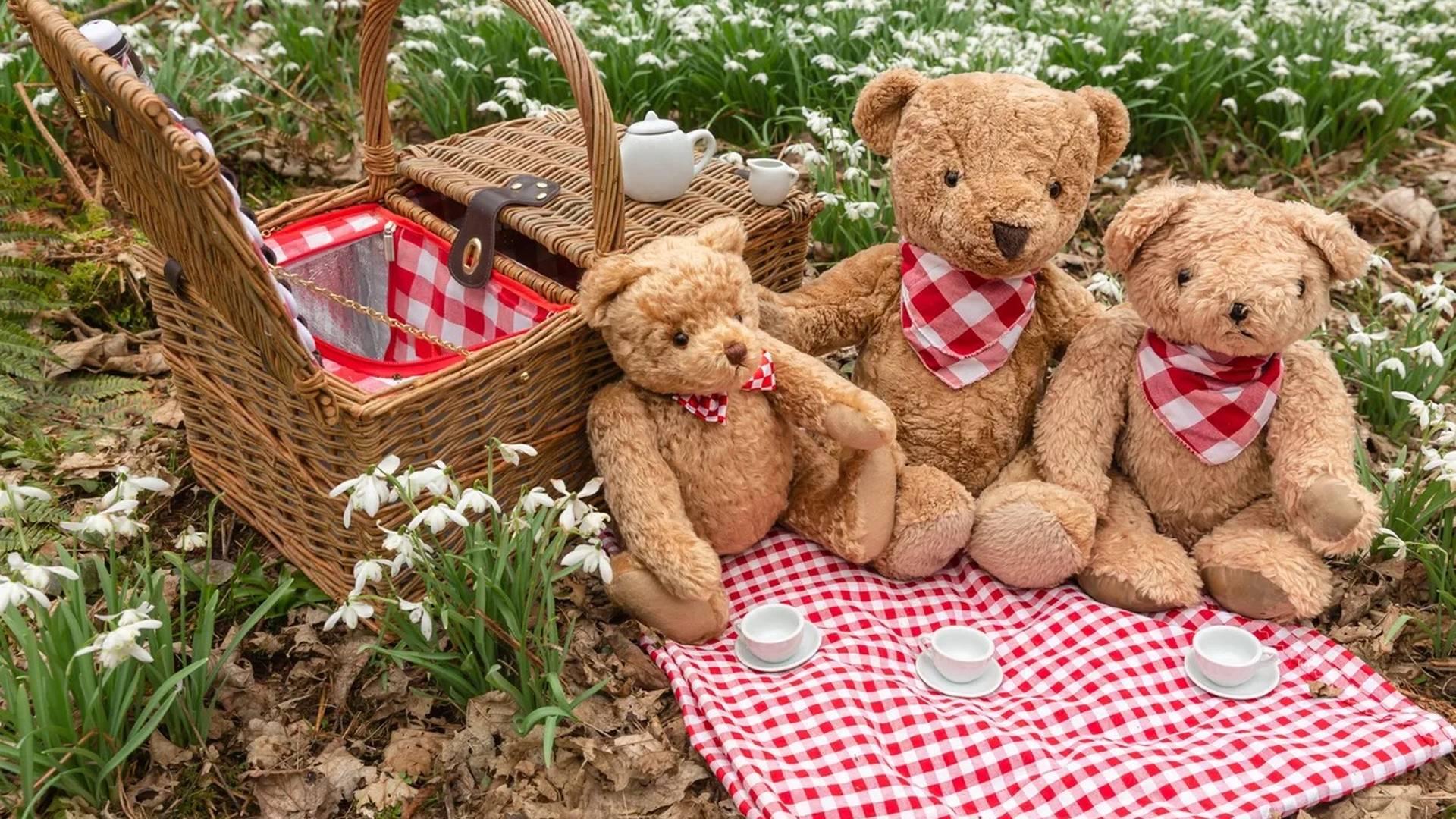 It's a Bug's Life (3-5) photo