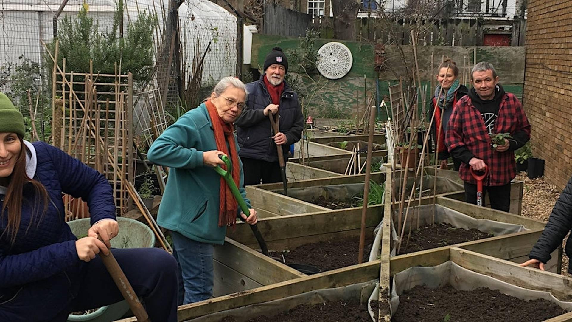 Allotment Gardening Course photo
