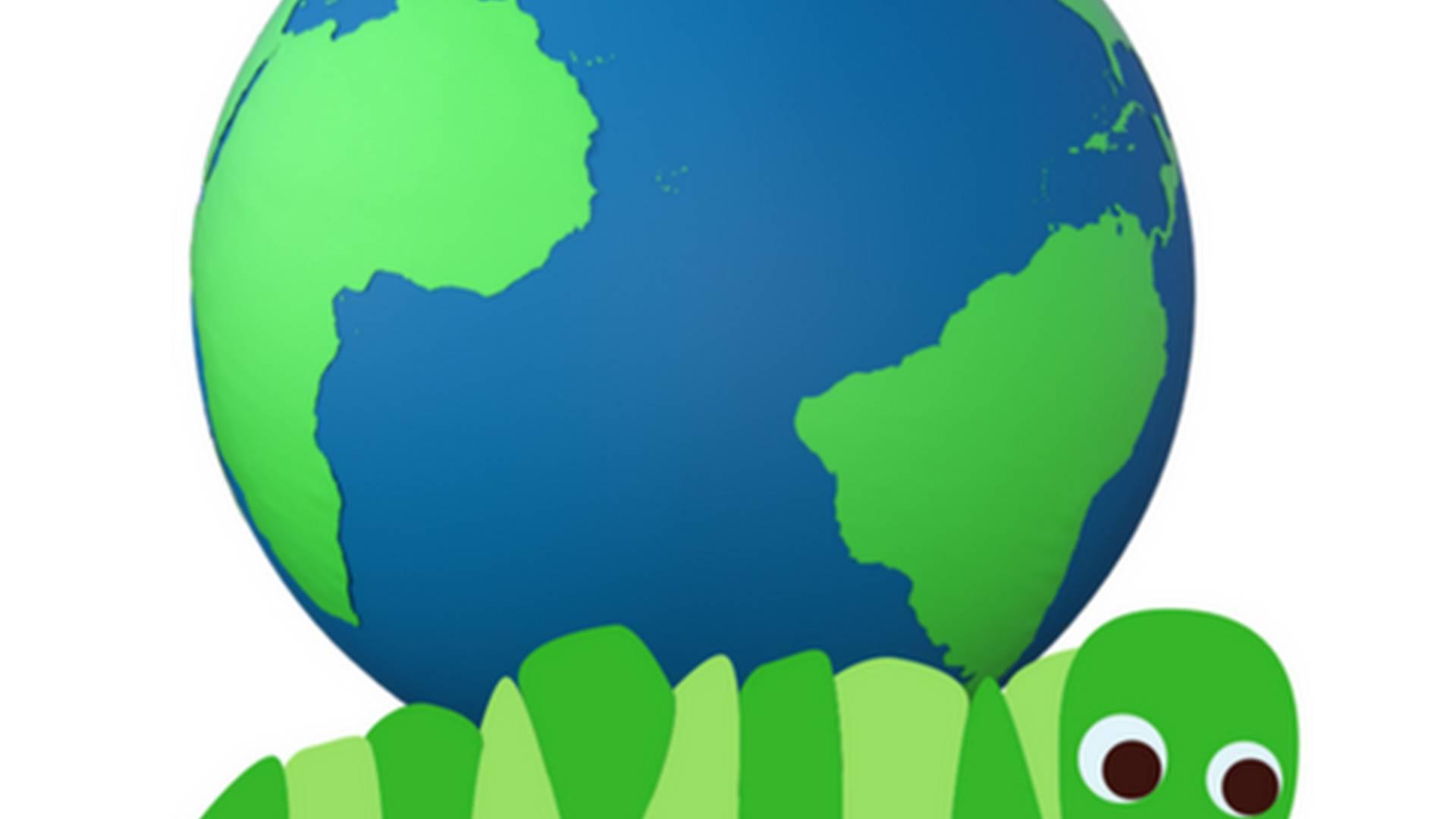 Ecoexplorers photo