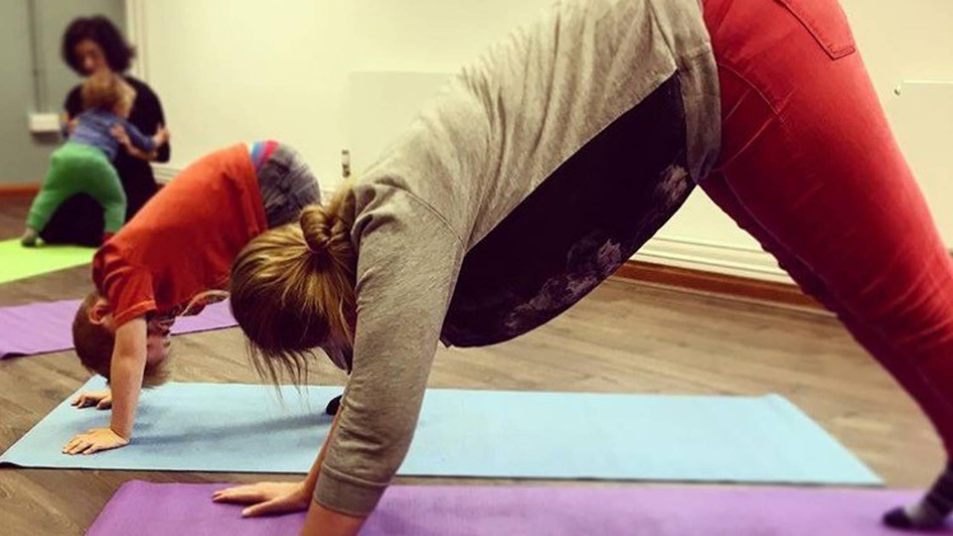 Project Yogi photo
