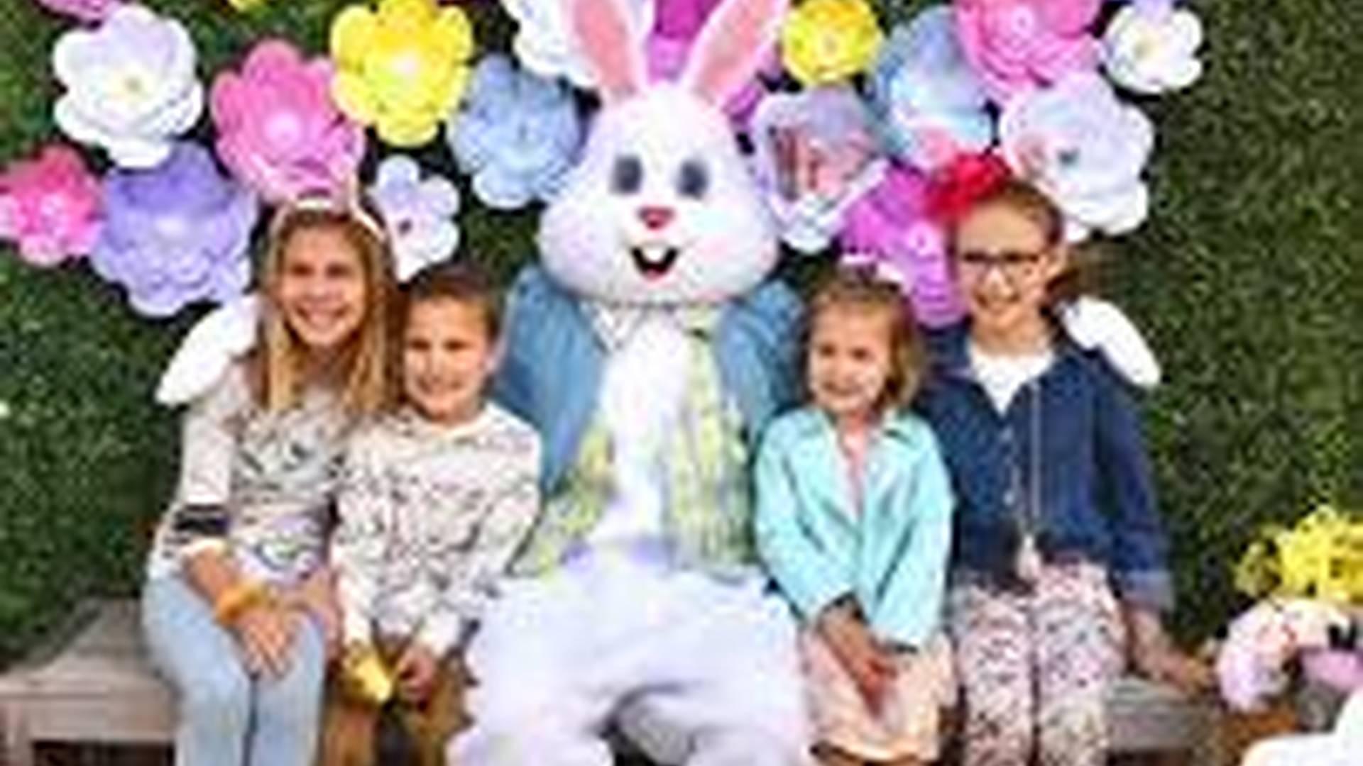 Who Framed the Easter Bunny photo