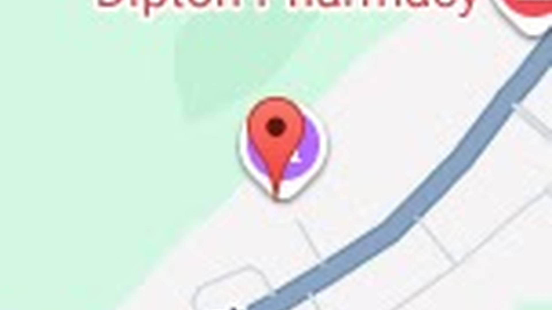 Counting Kids - Easter Special- Counting Kids photo