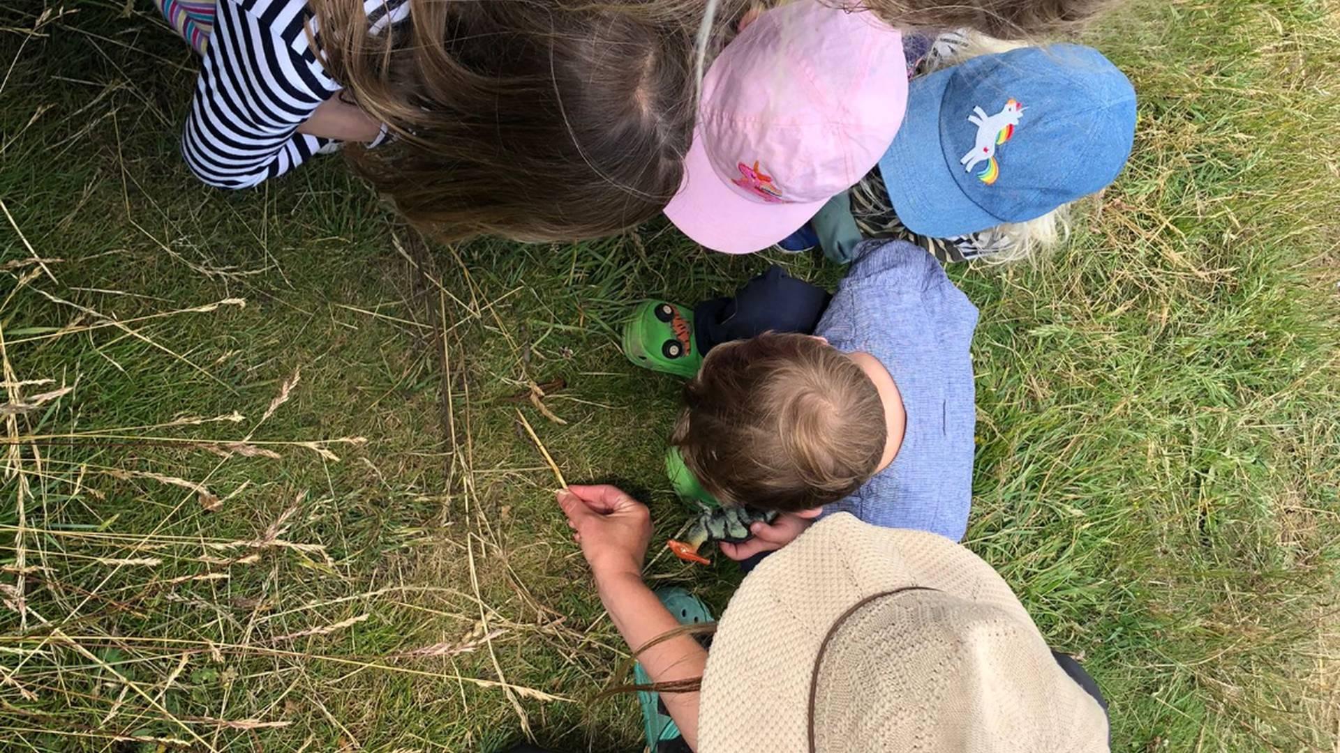 Fledglings at the Orchard photo