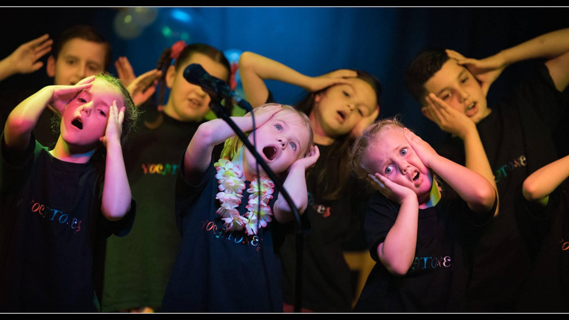 Vocatones Pop & Rock Choir photo