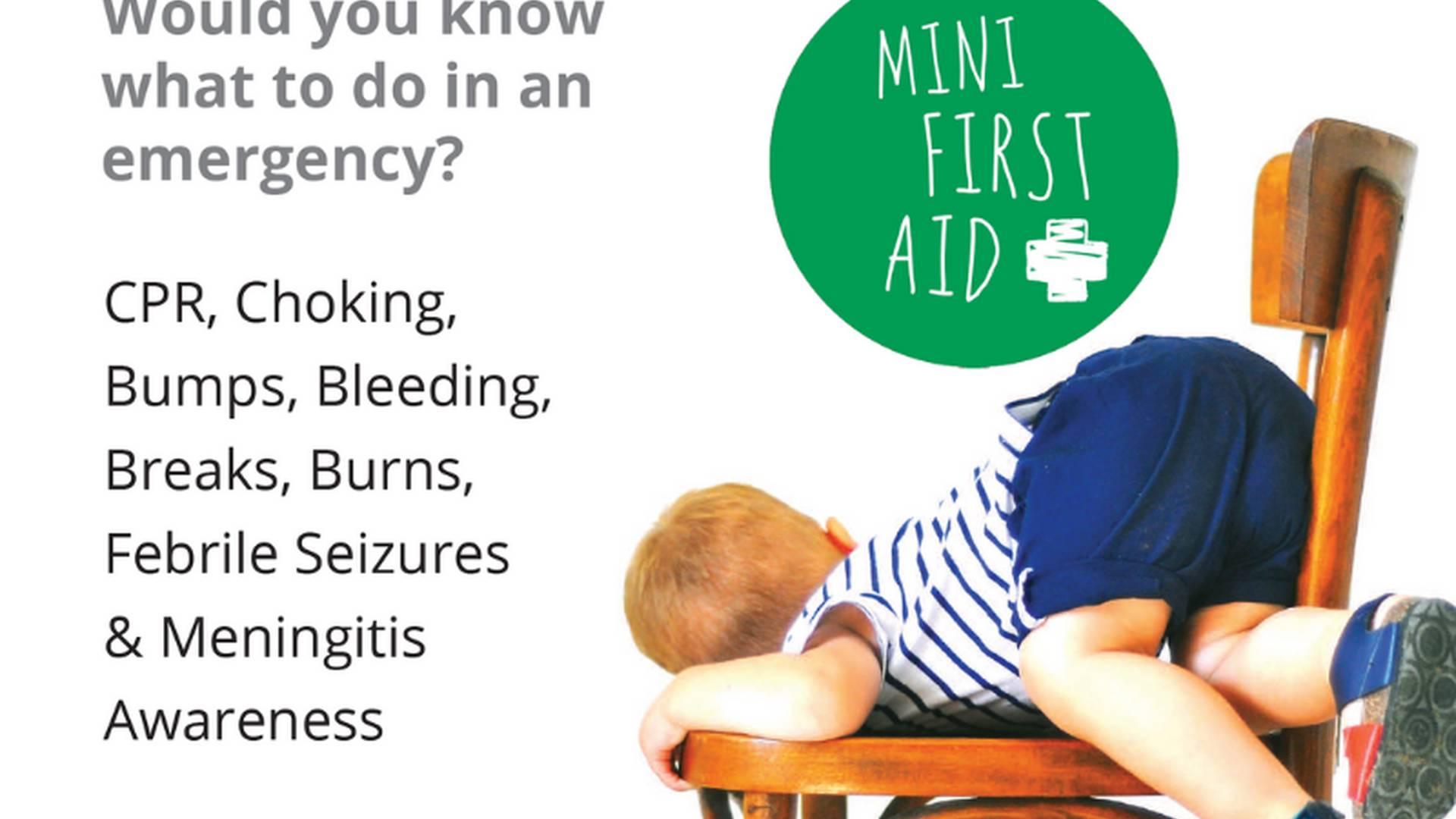 Mini First Aid photo