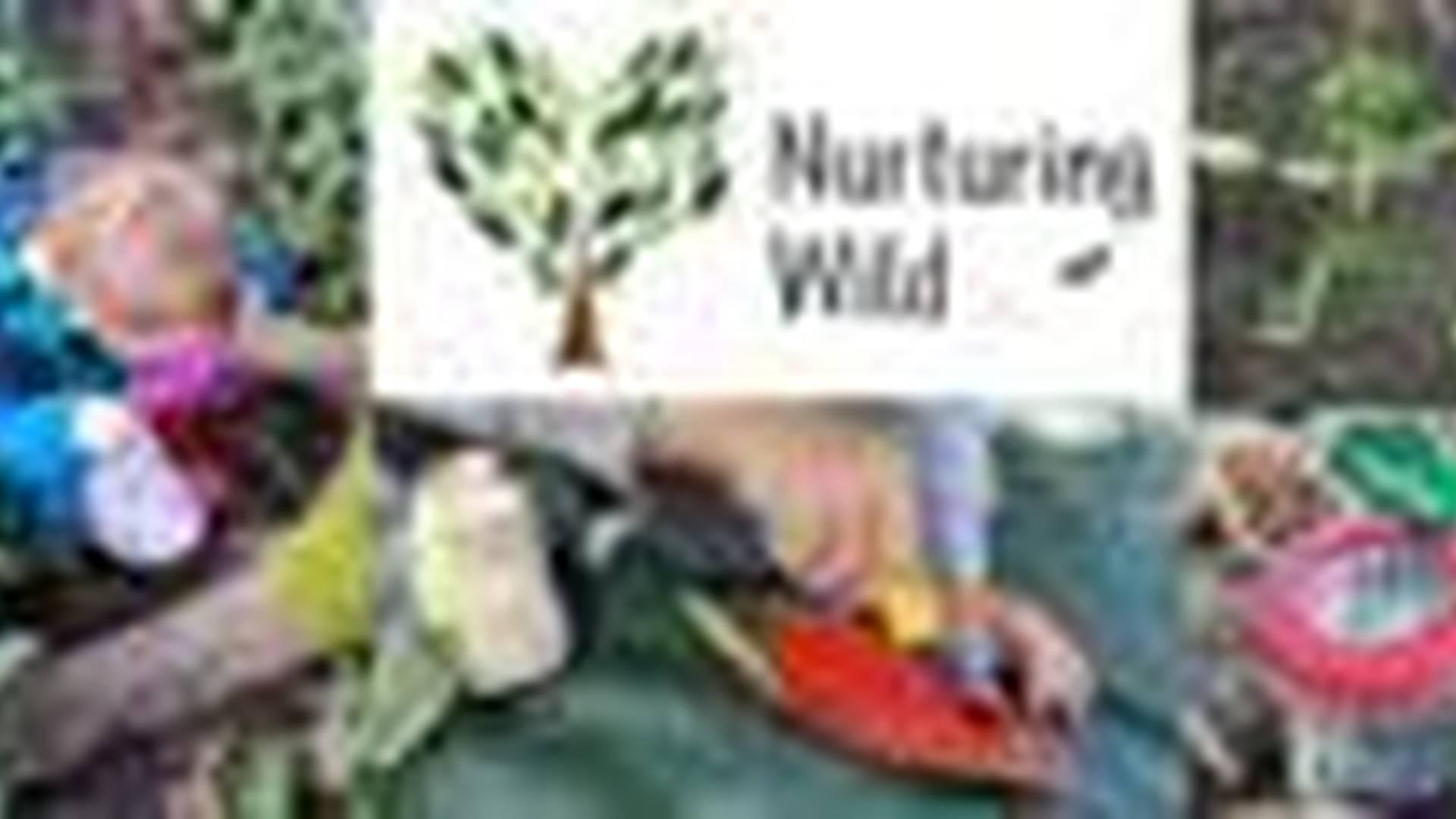 Nurturing Wild - Nurturing Wild Nature-based outdoor learning I parent & child (12m-5yrs) photo