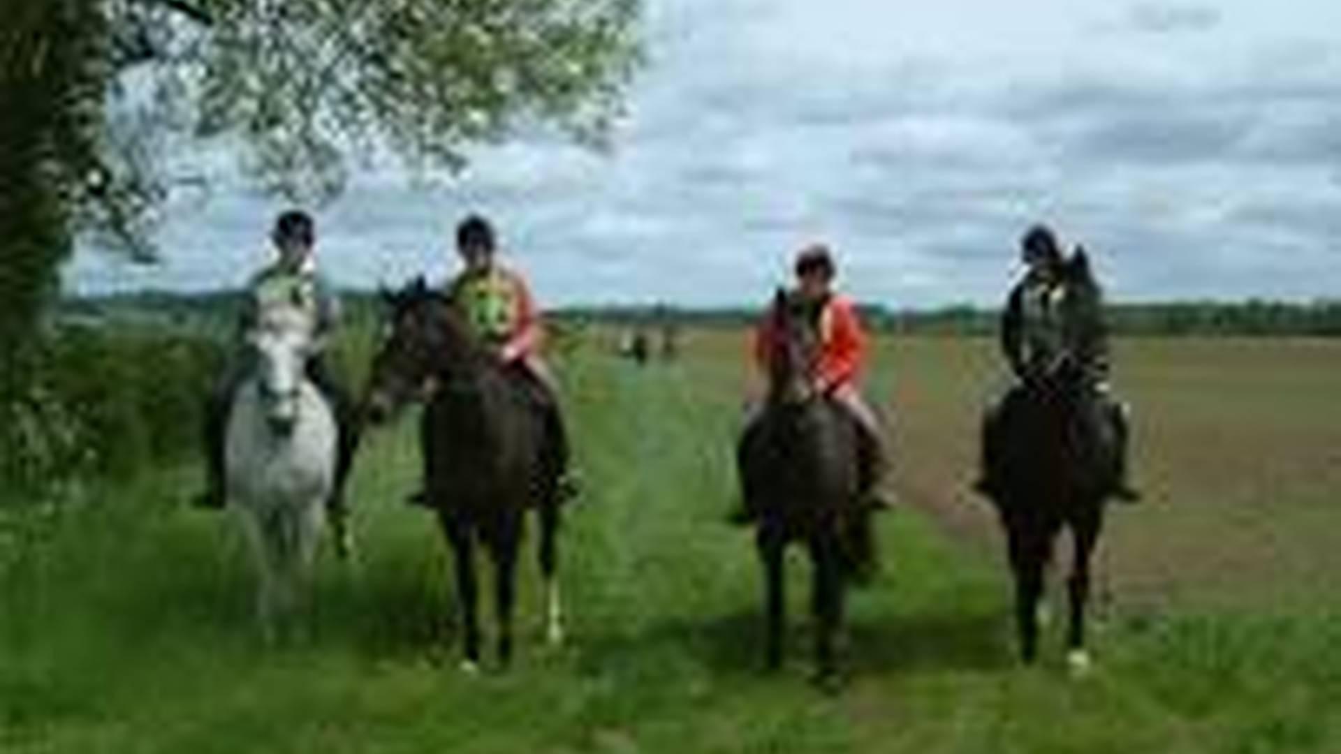Cross Country Hire at Thornton Lodge Farm photo