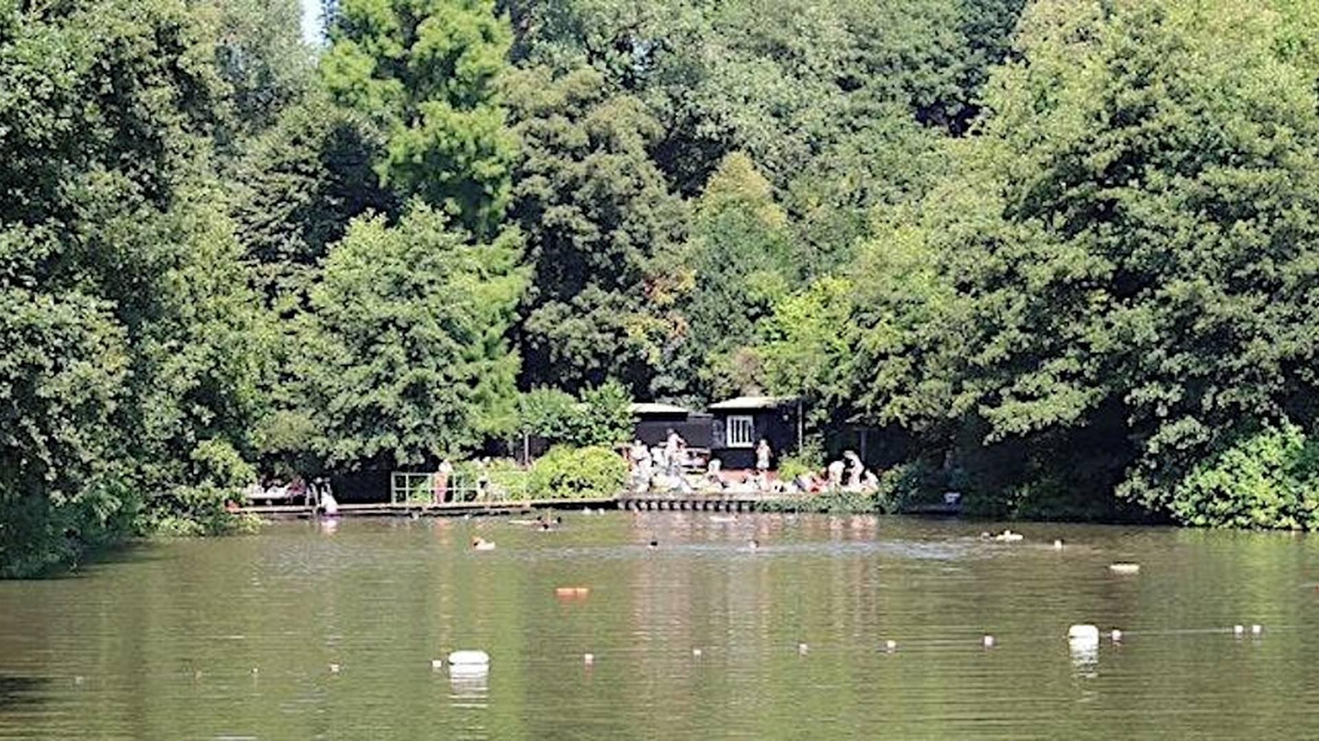 Hampstead Mixed Pond - Bookings return Spring 2026, pay on arrival now. photo