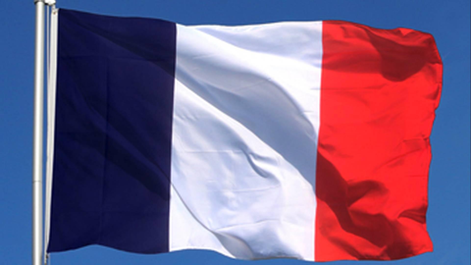 French lessons for kids - 3 to 12 years old photo