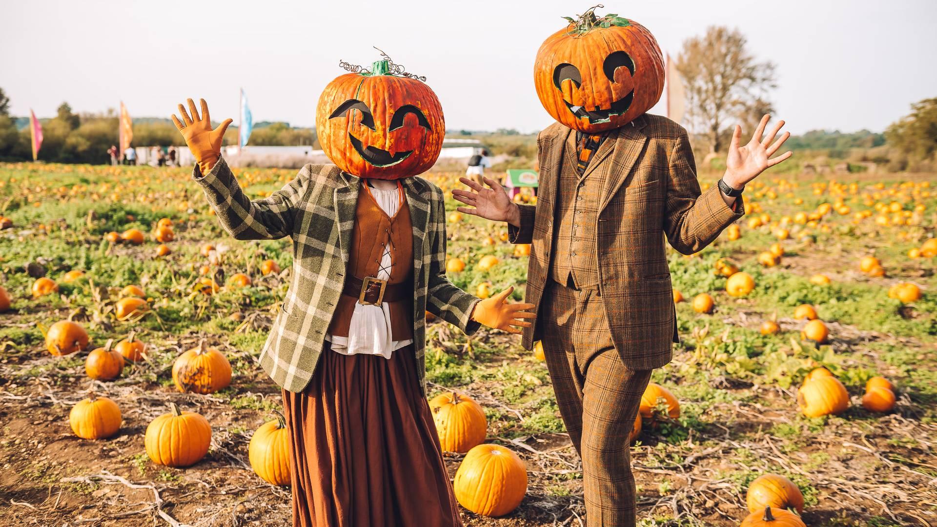 Pumpkin Patch photo