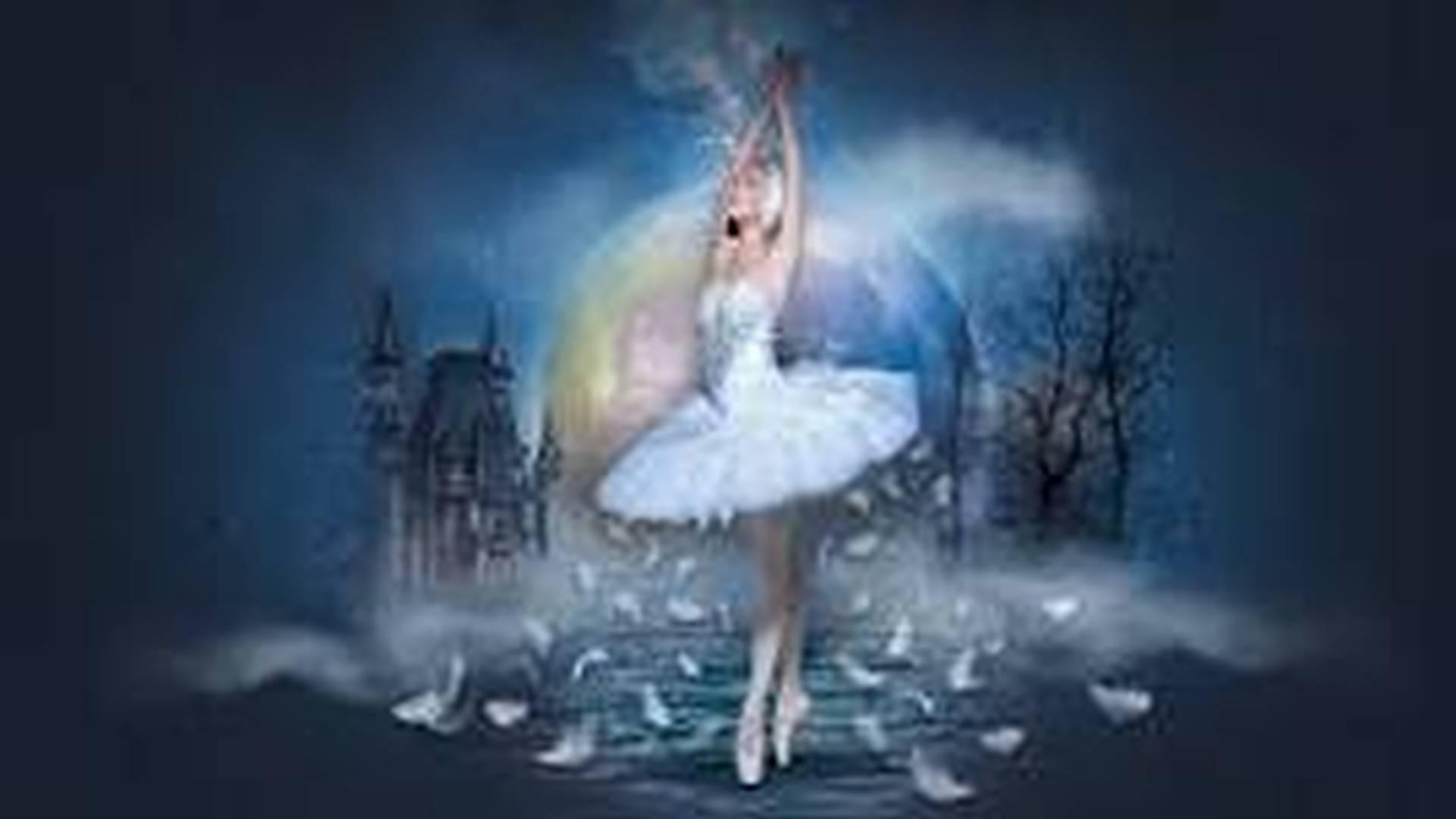 Swan lake photo