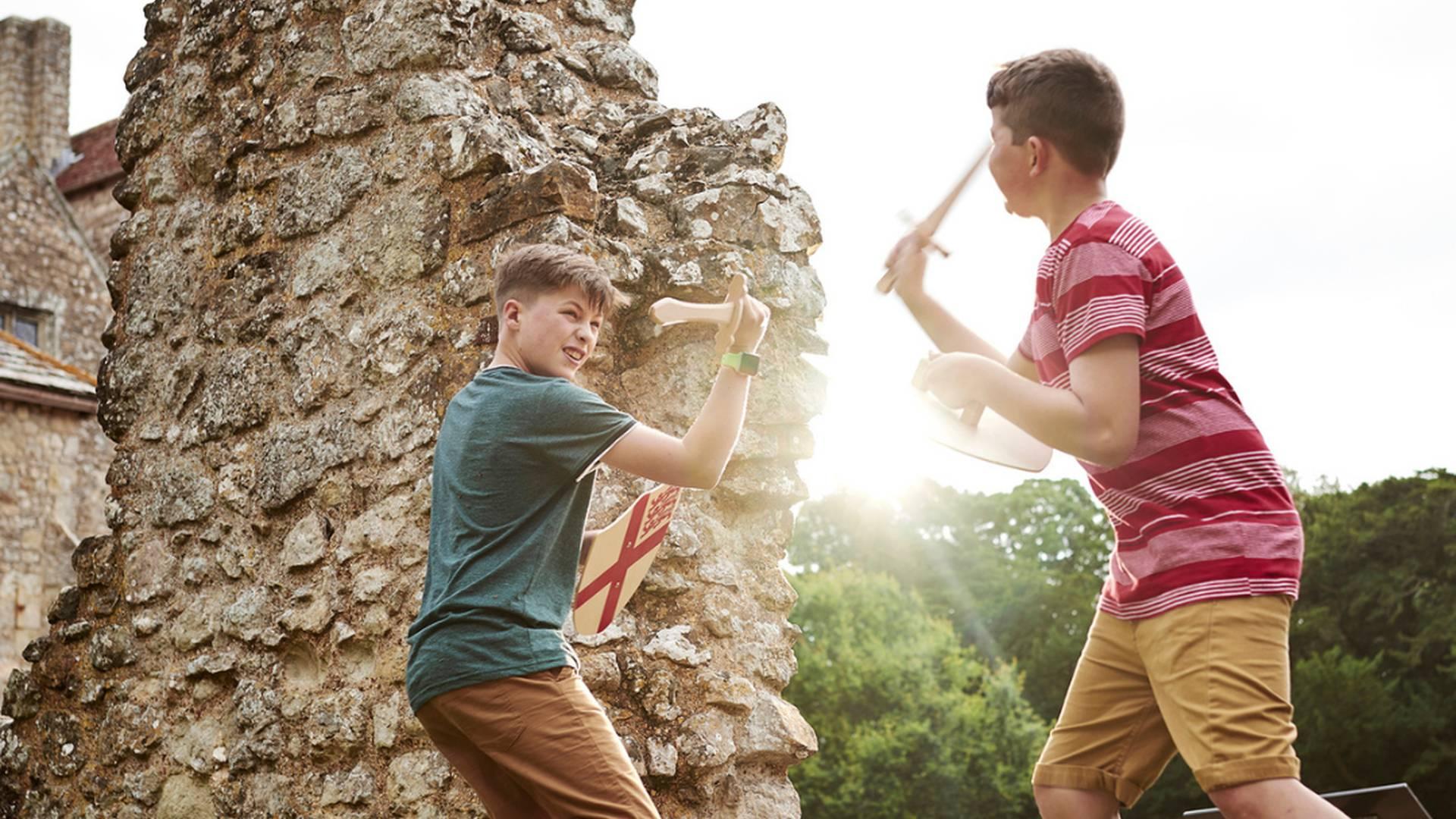 Summer Fun & Games At Carisbrooke Castle photo