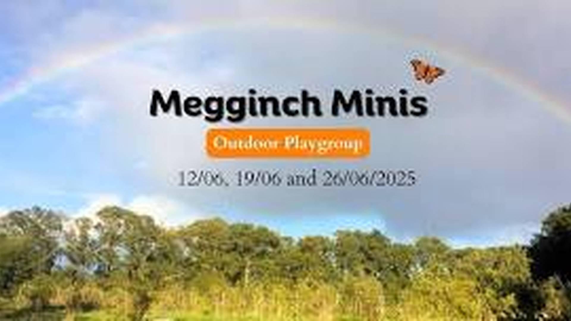 Megginch Minis – Outdoor Playgroup photo