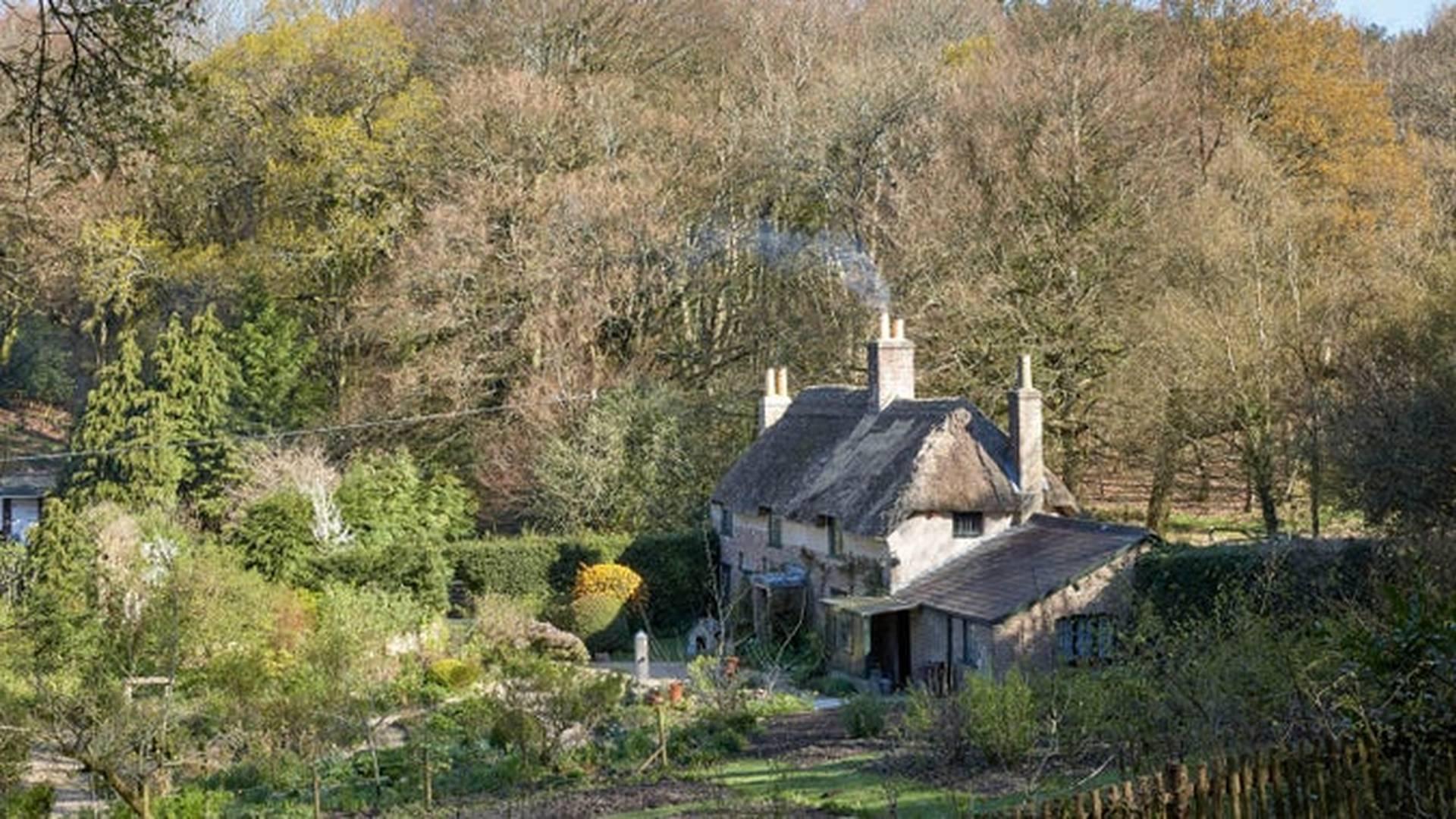 Thomas Hardy Landscape Walk photo