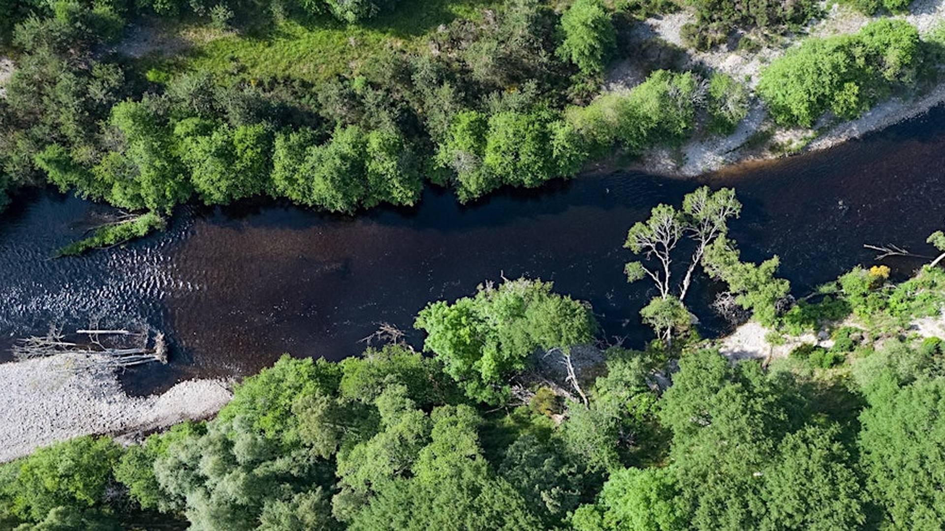 Learning Day: Restoring Wild Rivers photo