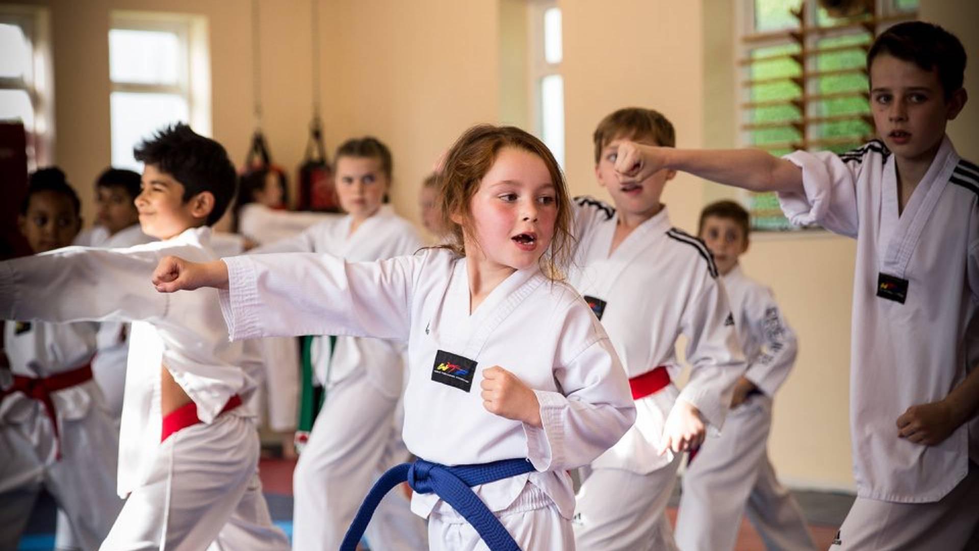 Premier Taekwondo Mirfield photo