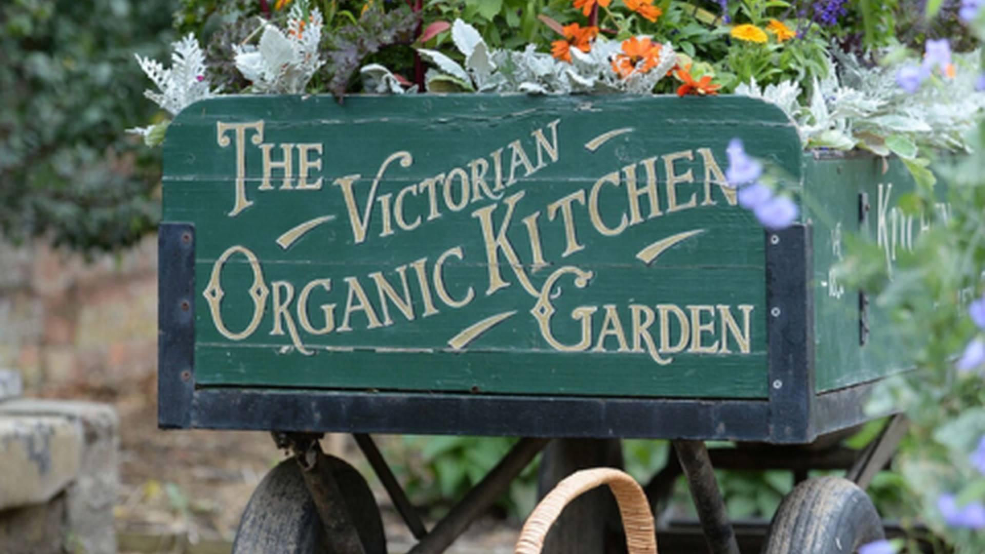 Gourmet Garden At Audley End House And Gardens photo