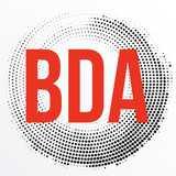Blaze Dance Academy logo