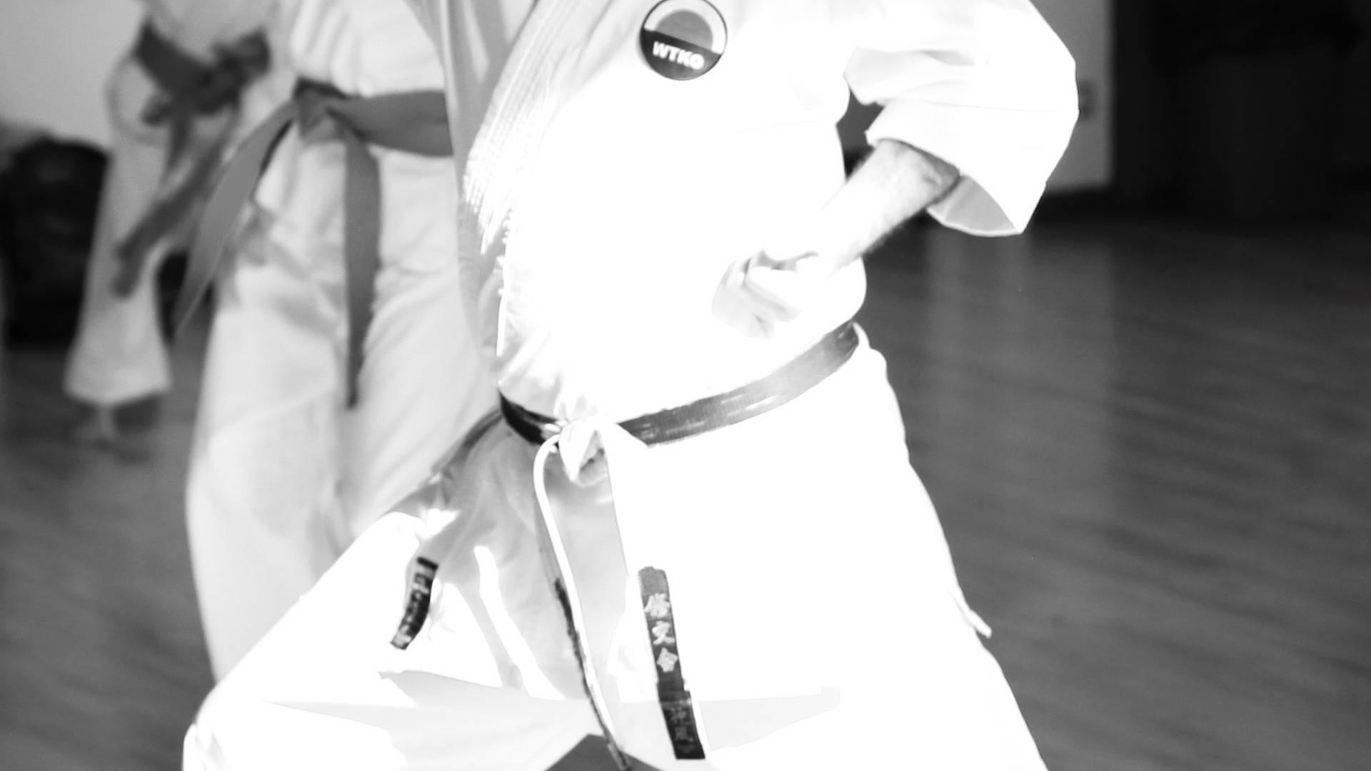 The Dojo of Eternal Joy & Pain photo
